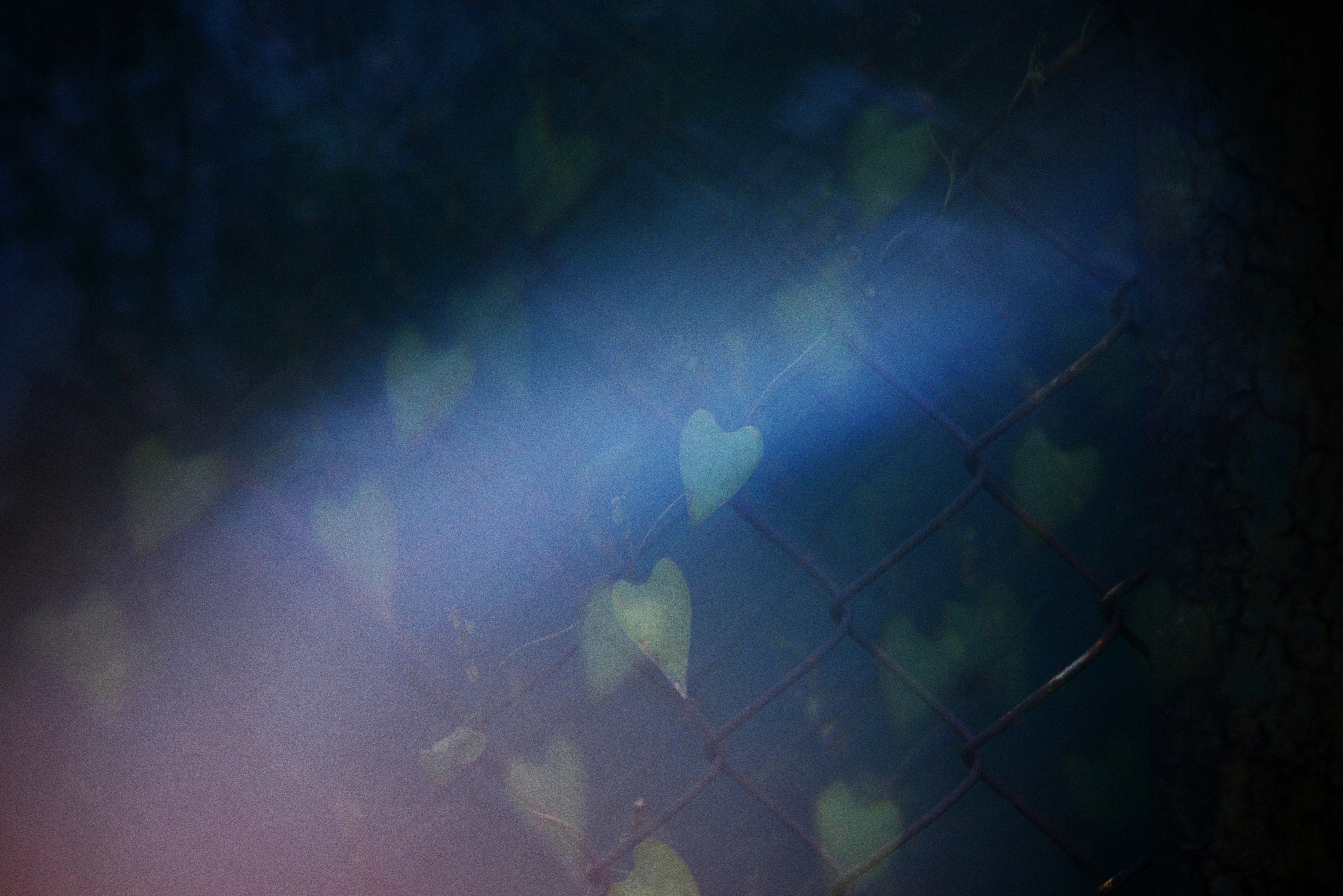 青い光の縞模様を持つ抽象的なボケハートシェイプ。