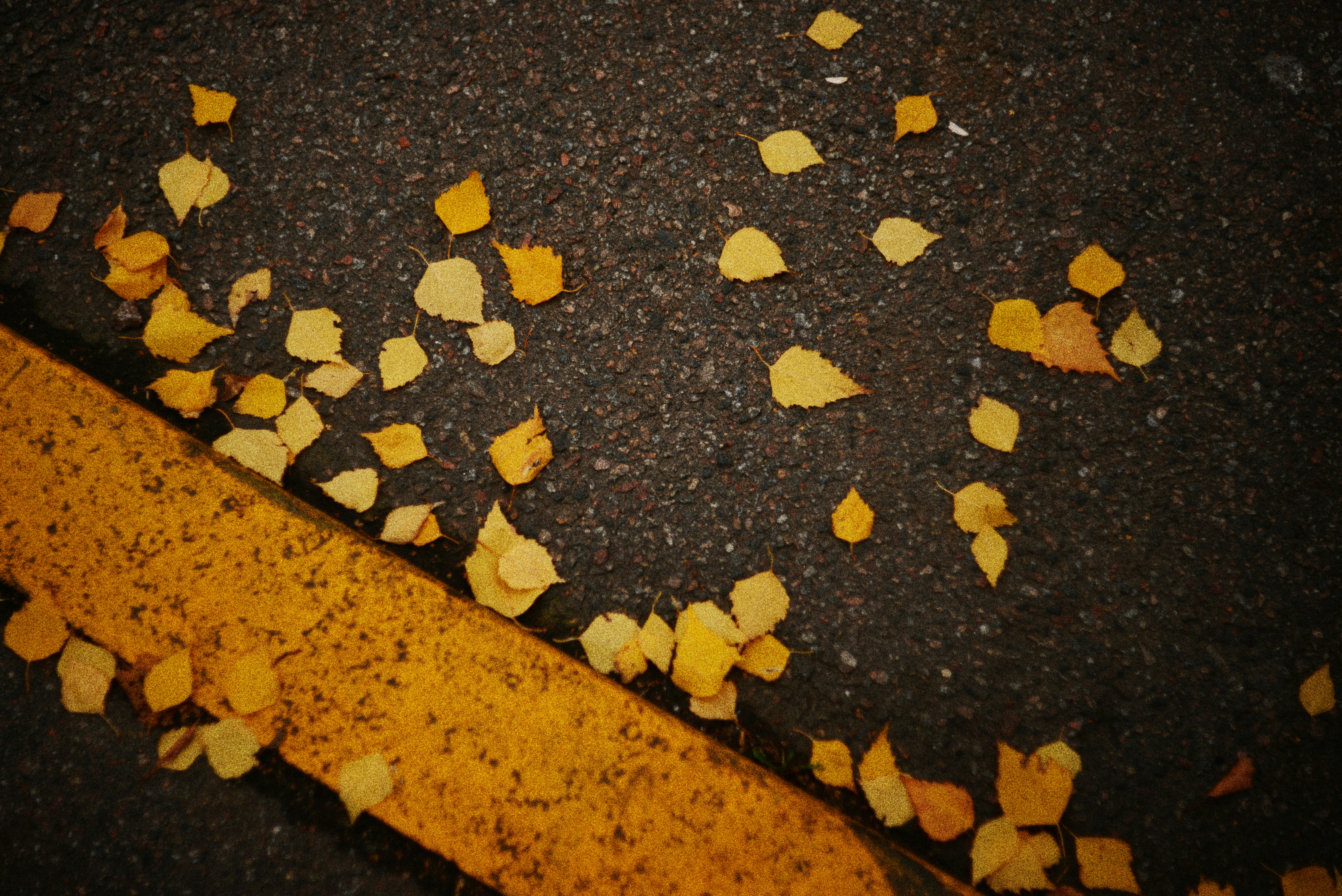 It Was Just an Accident — Sorry Wishes to Mend a Broken Heart