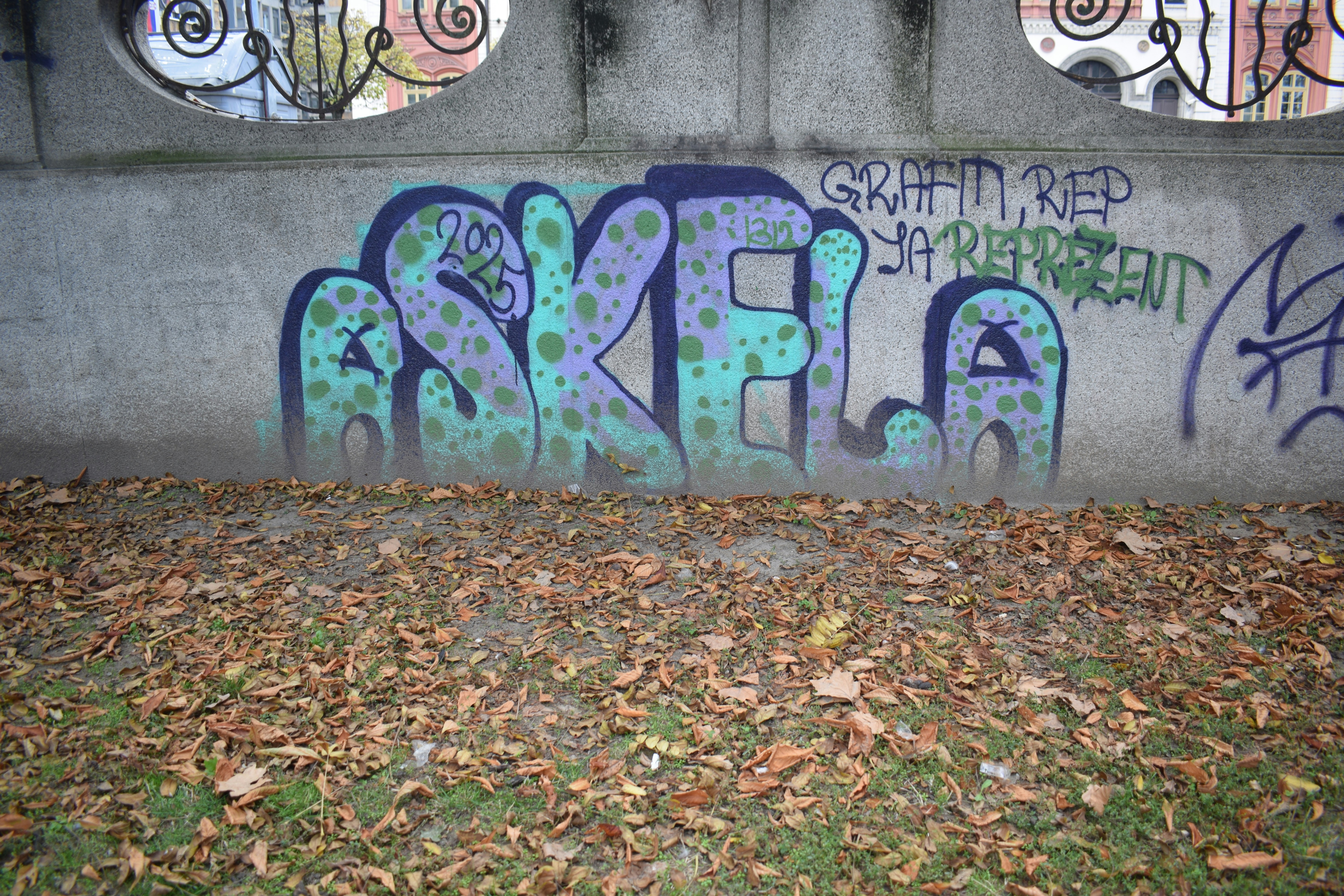Graffiti art on a concrete wall with fallen leaves