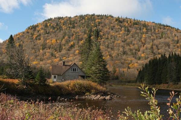 Small house by a river in autumn foliage — Hannah Reding on Unsplash