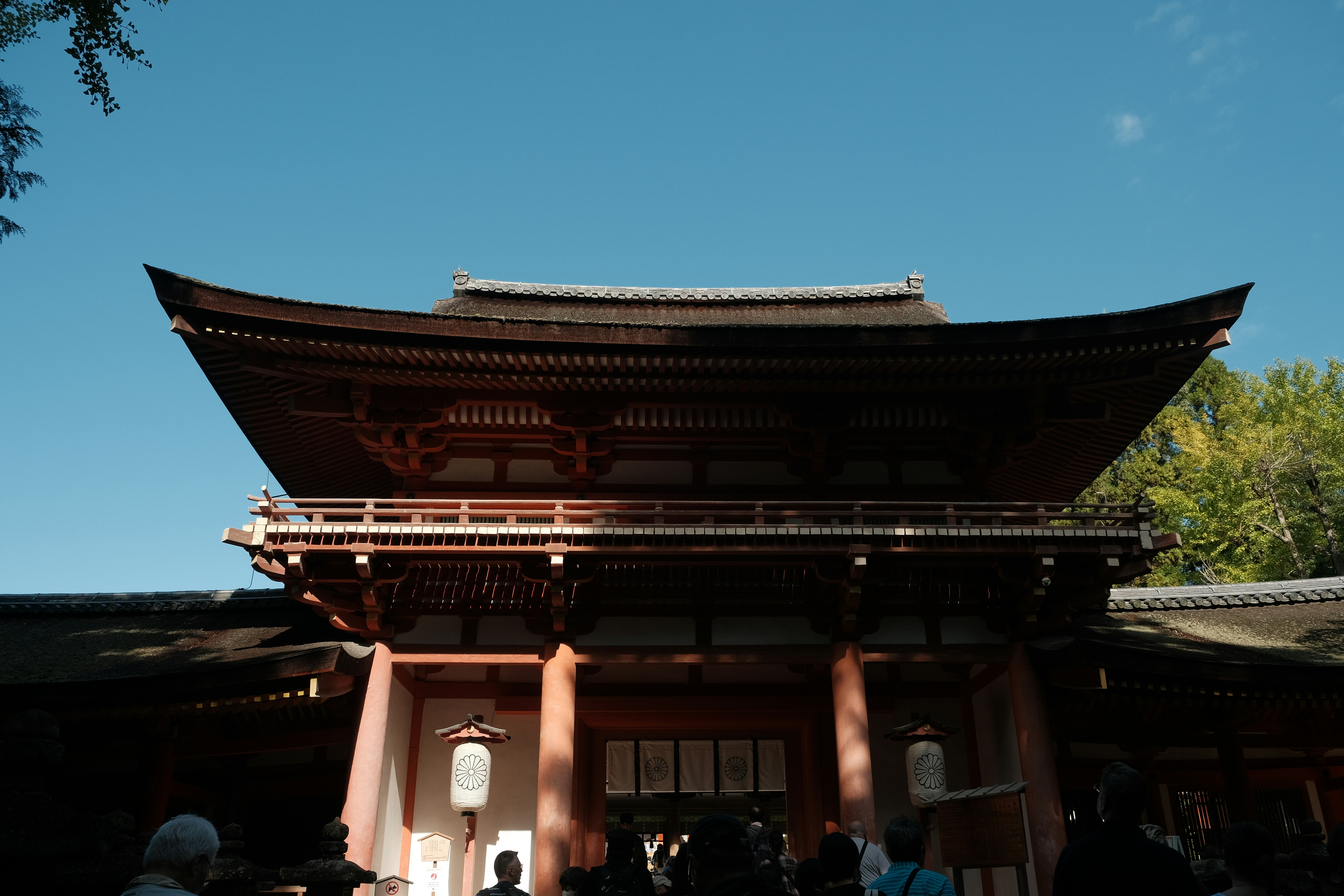 Photo by nicsandman20