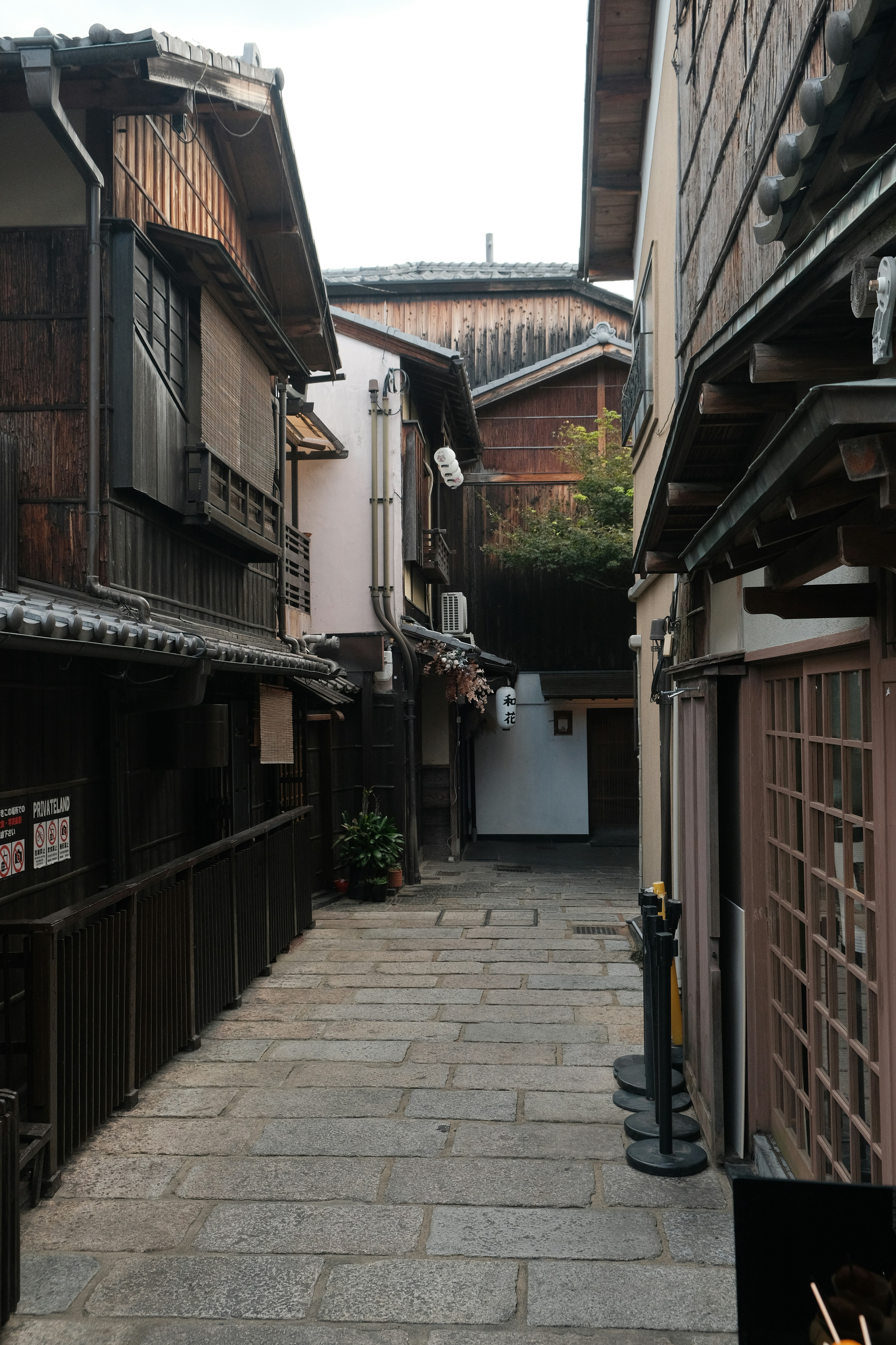 Photo by nicsandman20