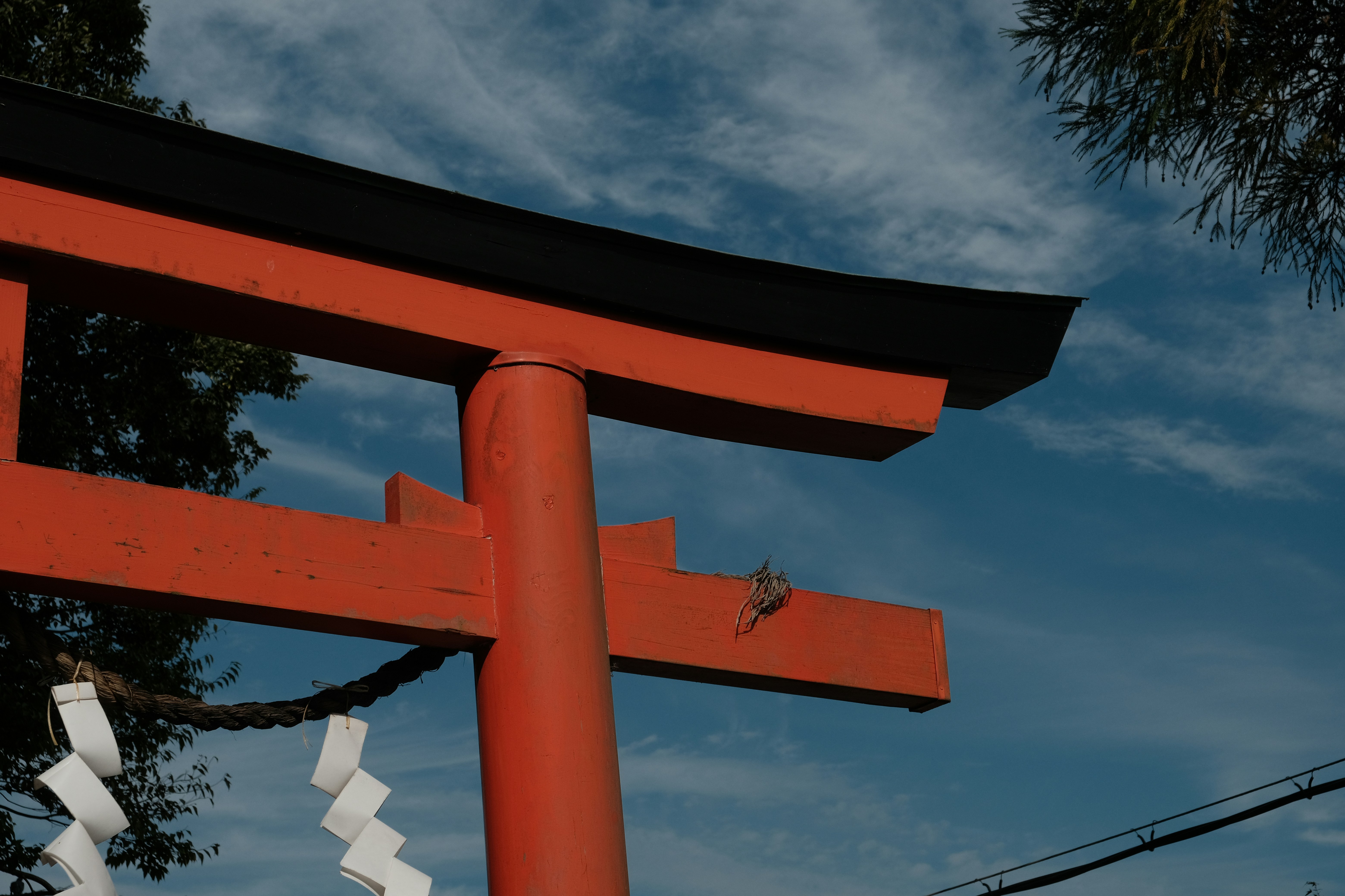 Photo by nicsandman20