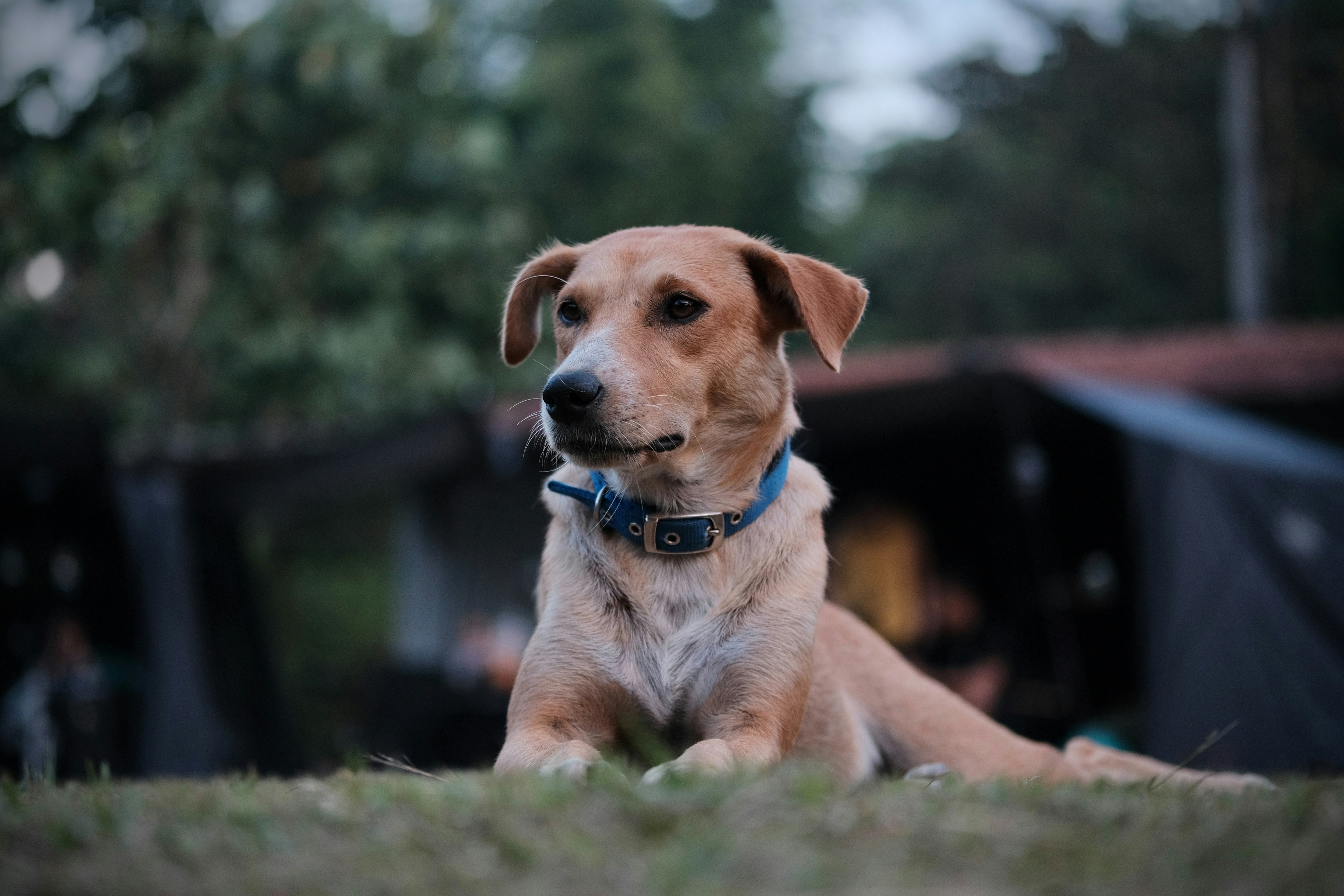 Photo by nicsandman20