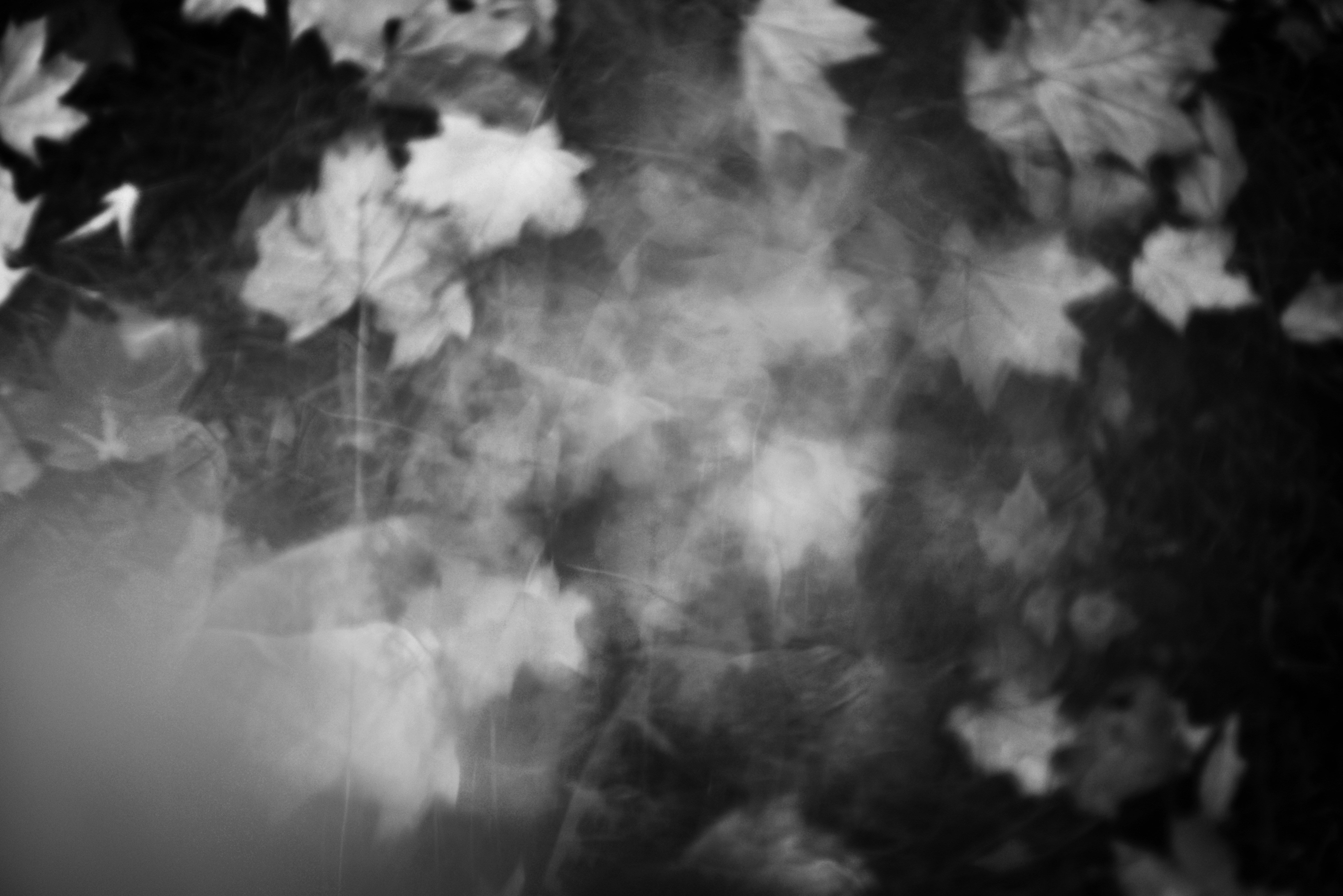 Photo by cherstve_pechivo