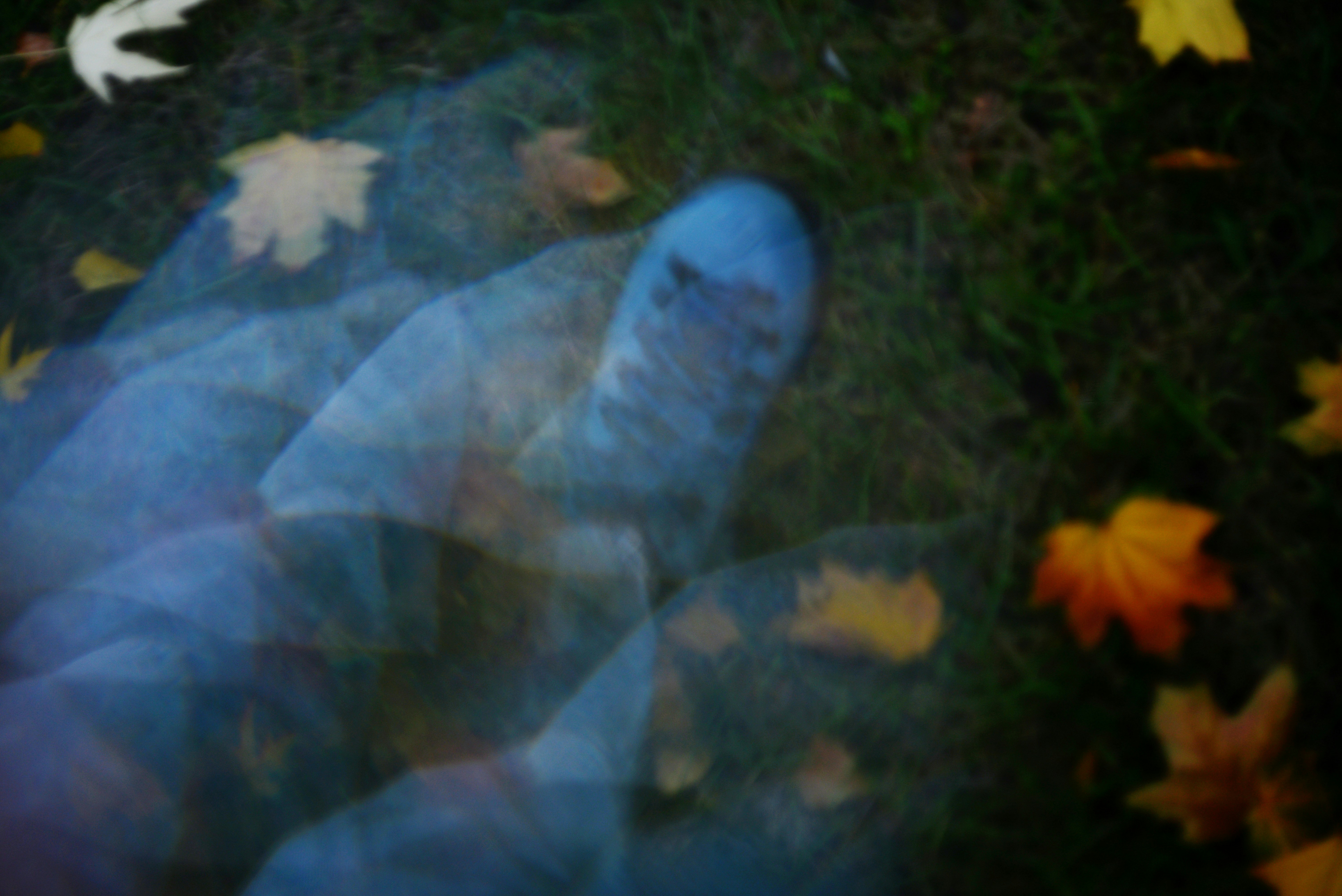 Blurred ghostly hand reaching through autumn leaves