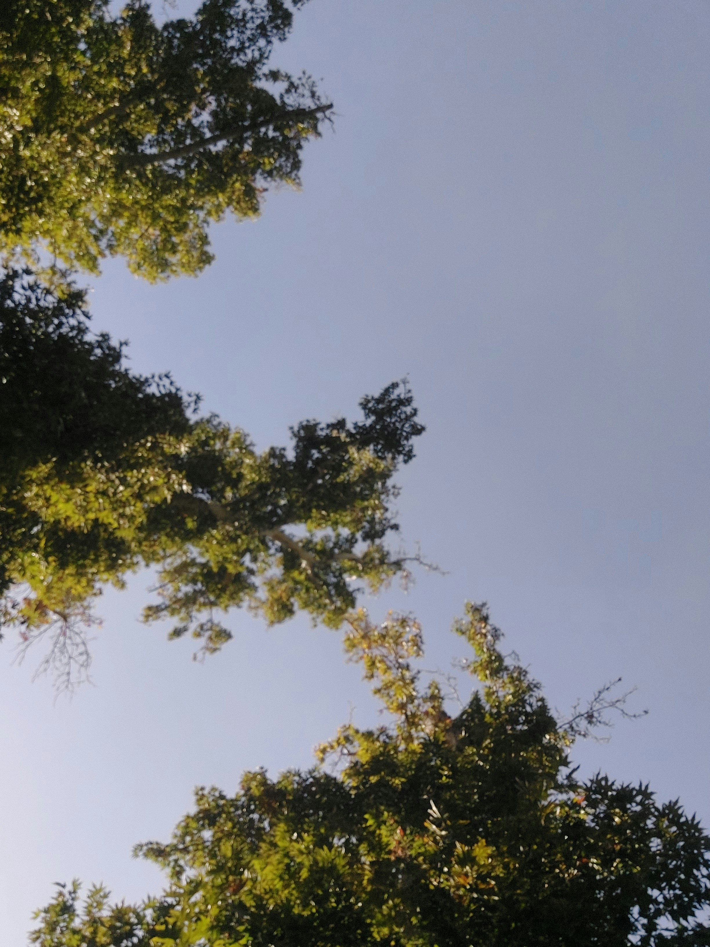 Photo by sina_jahadi