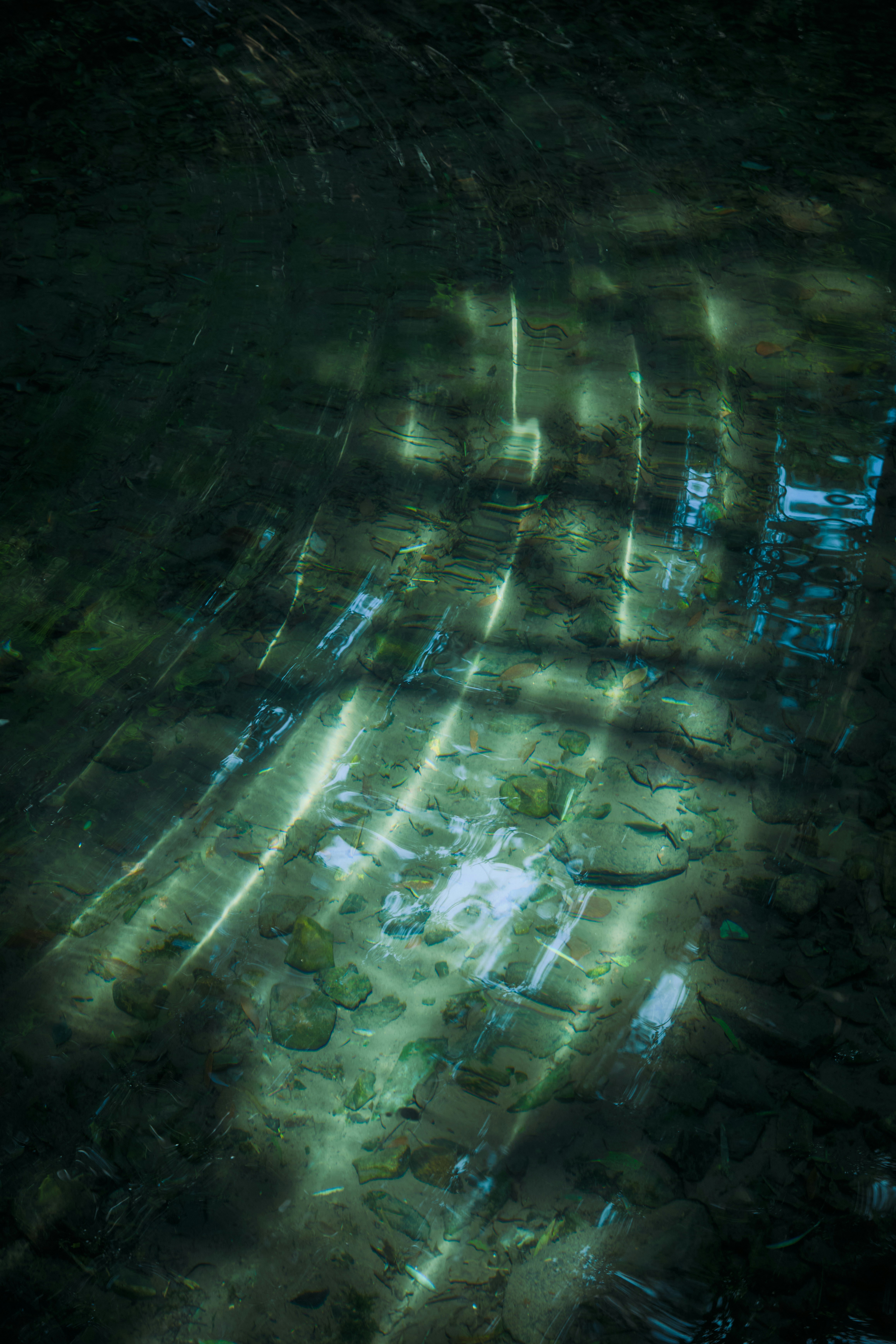 Sunlight patterns on a shallow riverbed with stones.