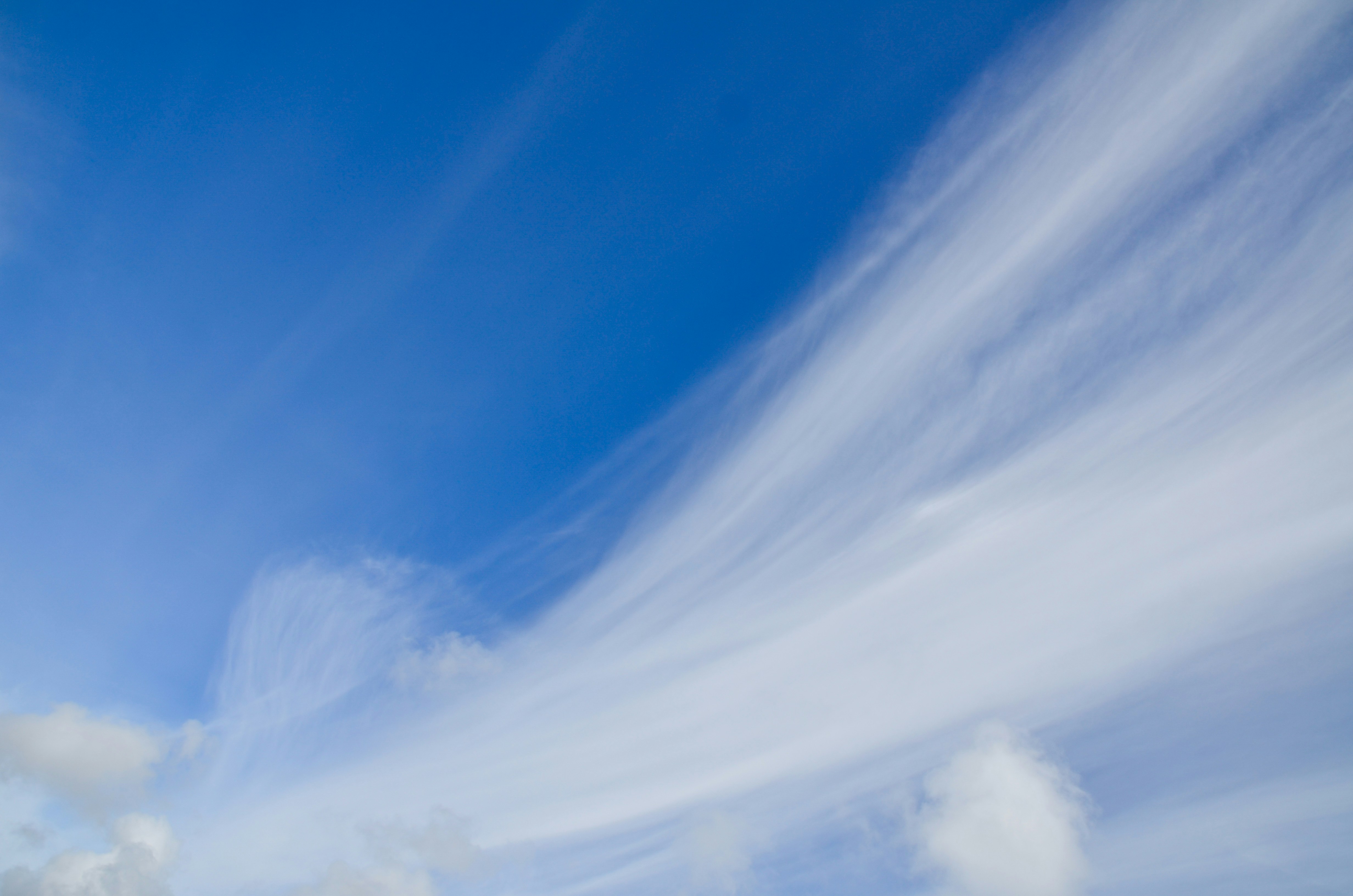 Photo by utku_kaplan