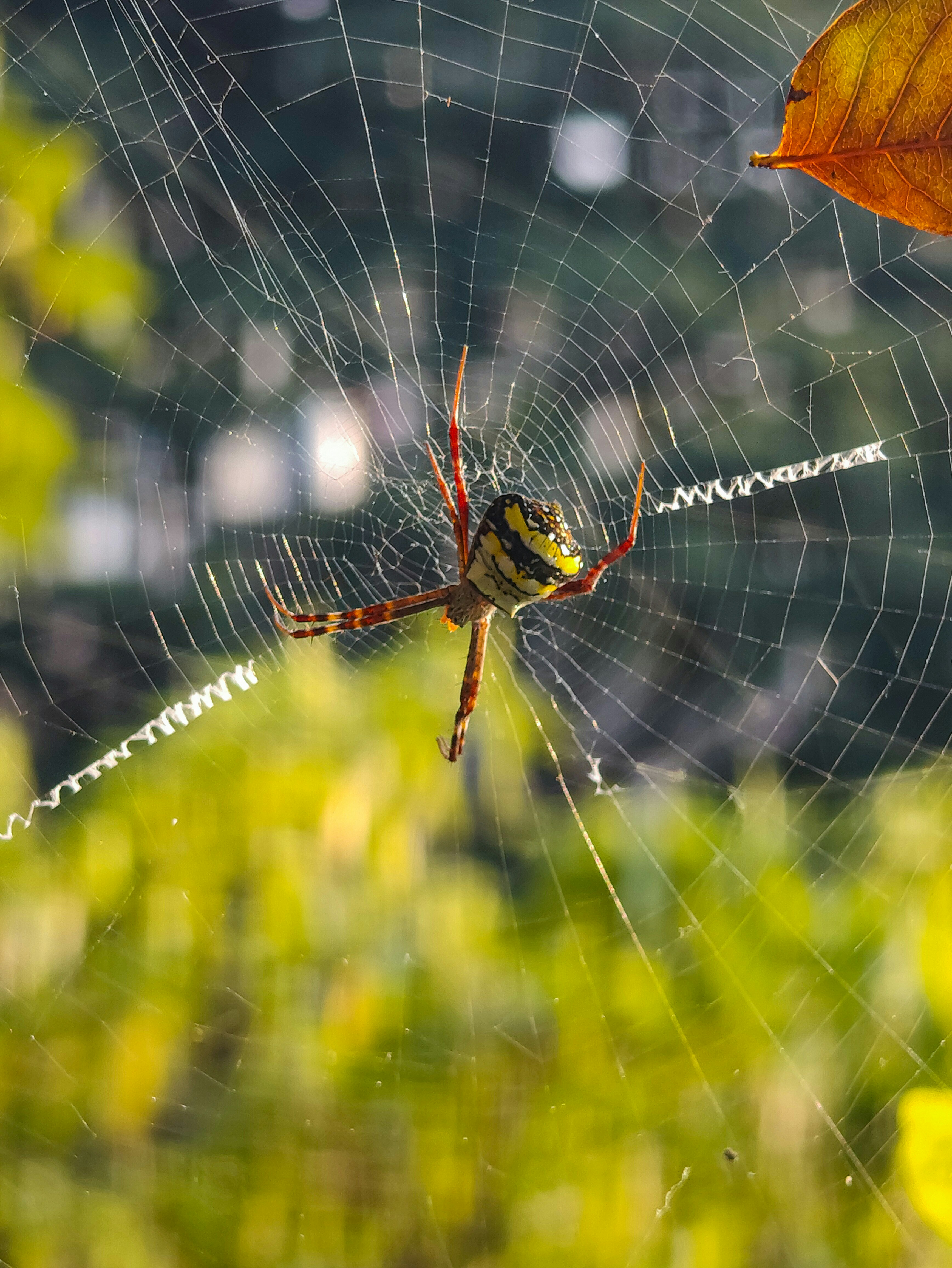 Photo by anandramavath_786