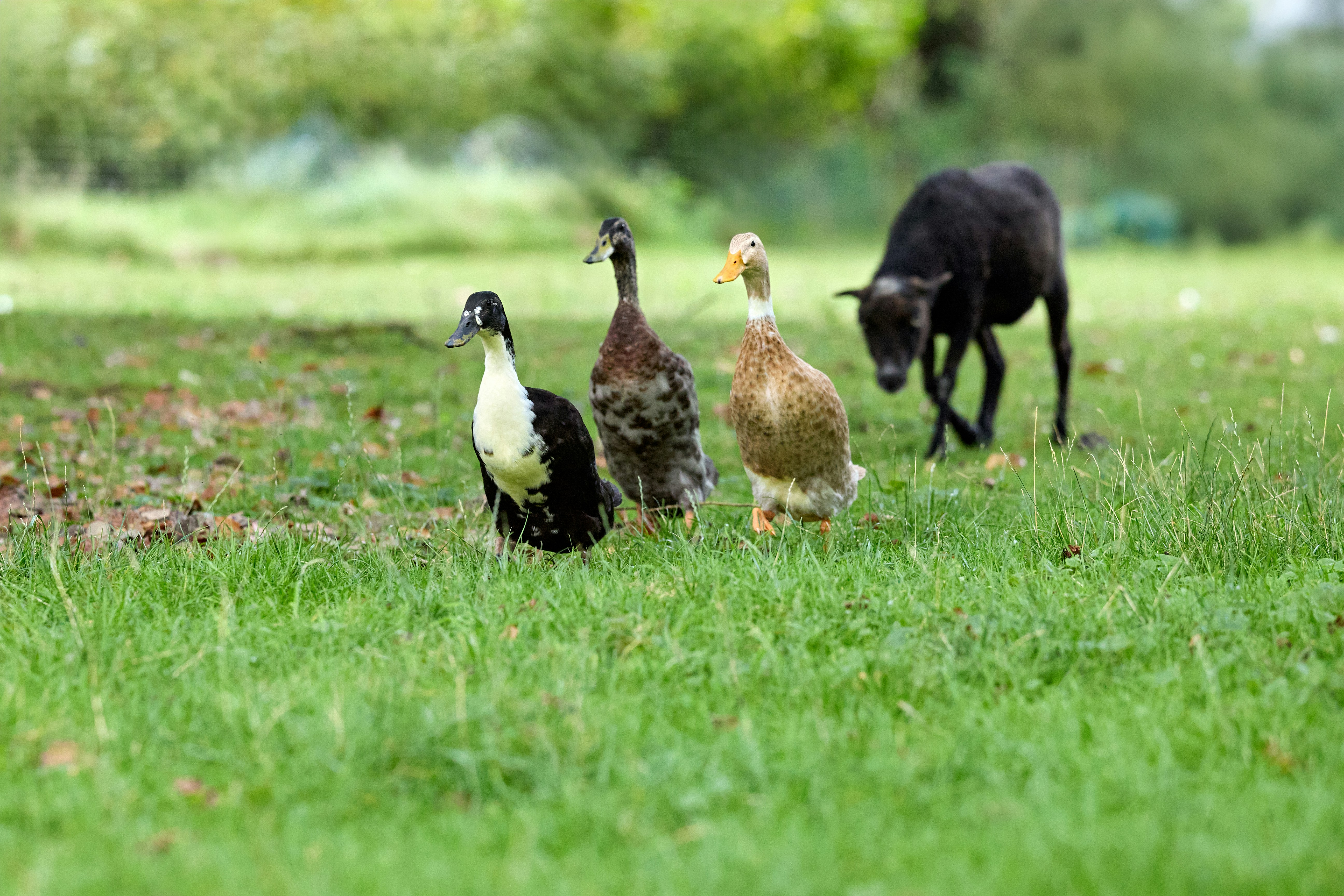 Photo by erwinbosman