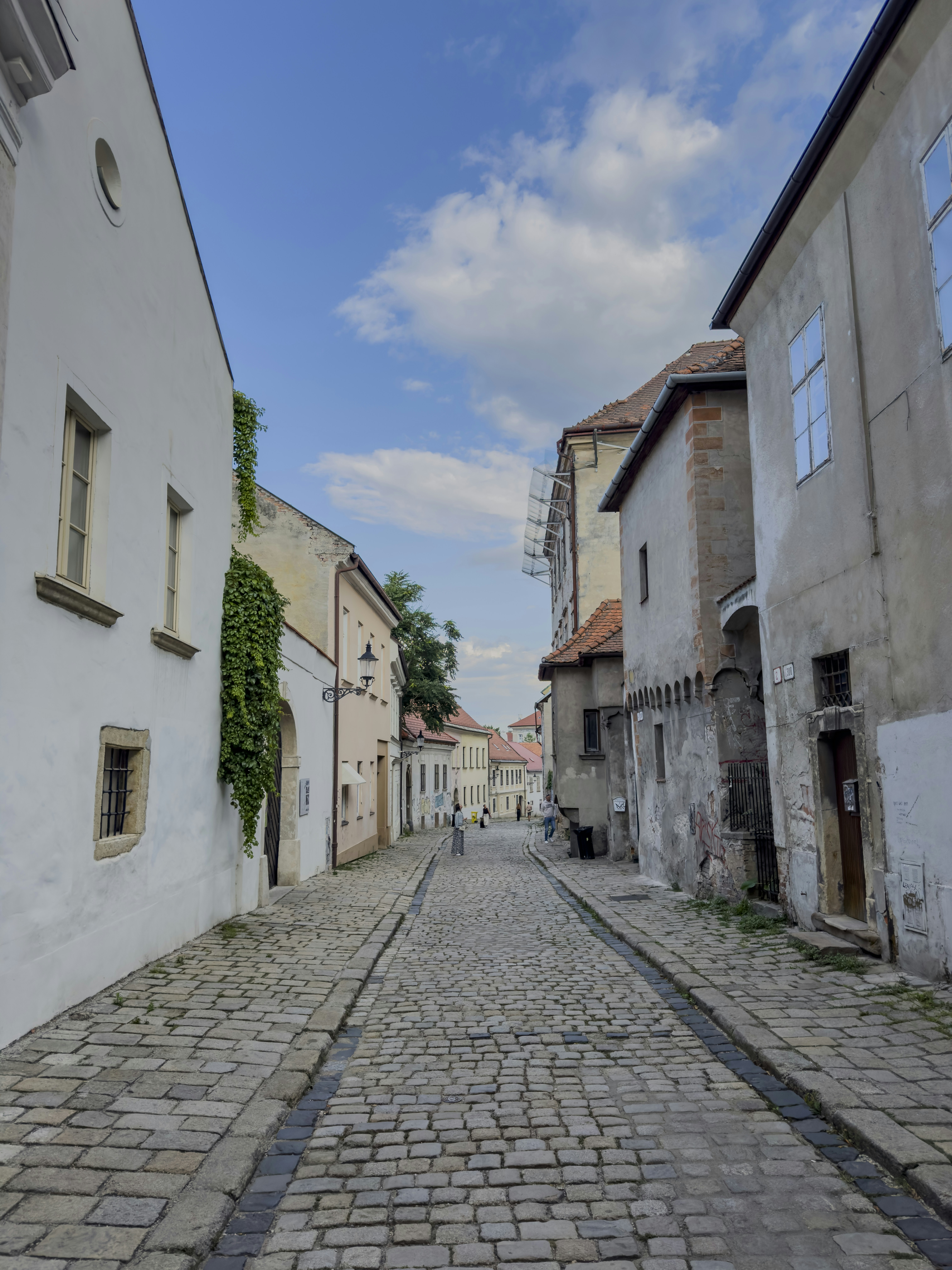 Cobblestone street lined with old buildings under a cloudy sky