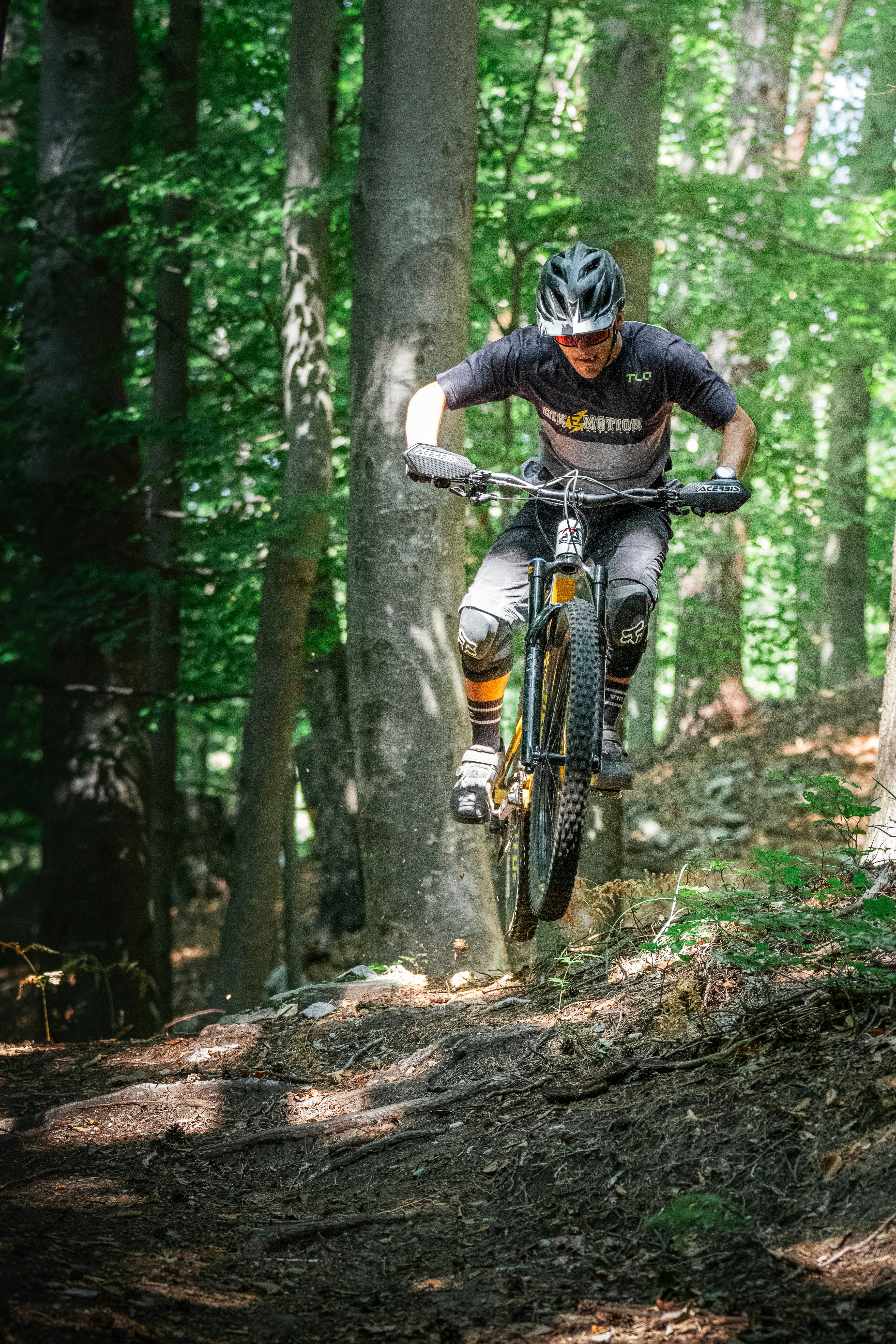 Mountain biker jumps over a dirt trail in forest