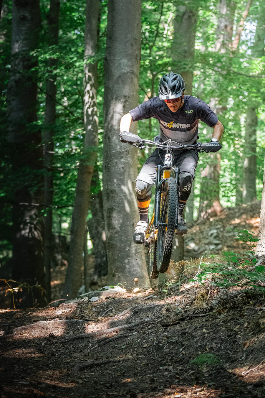 Mountain biking on forest dirt jumps