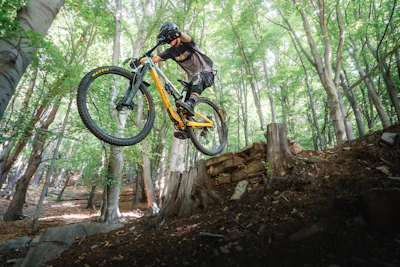 Mountain biker jumping over logs in a forest.