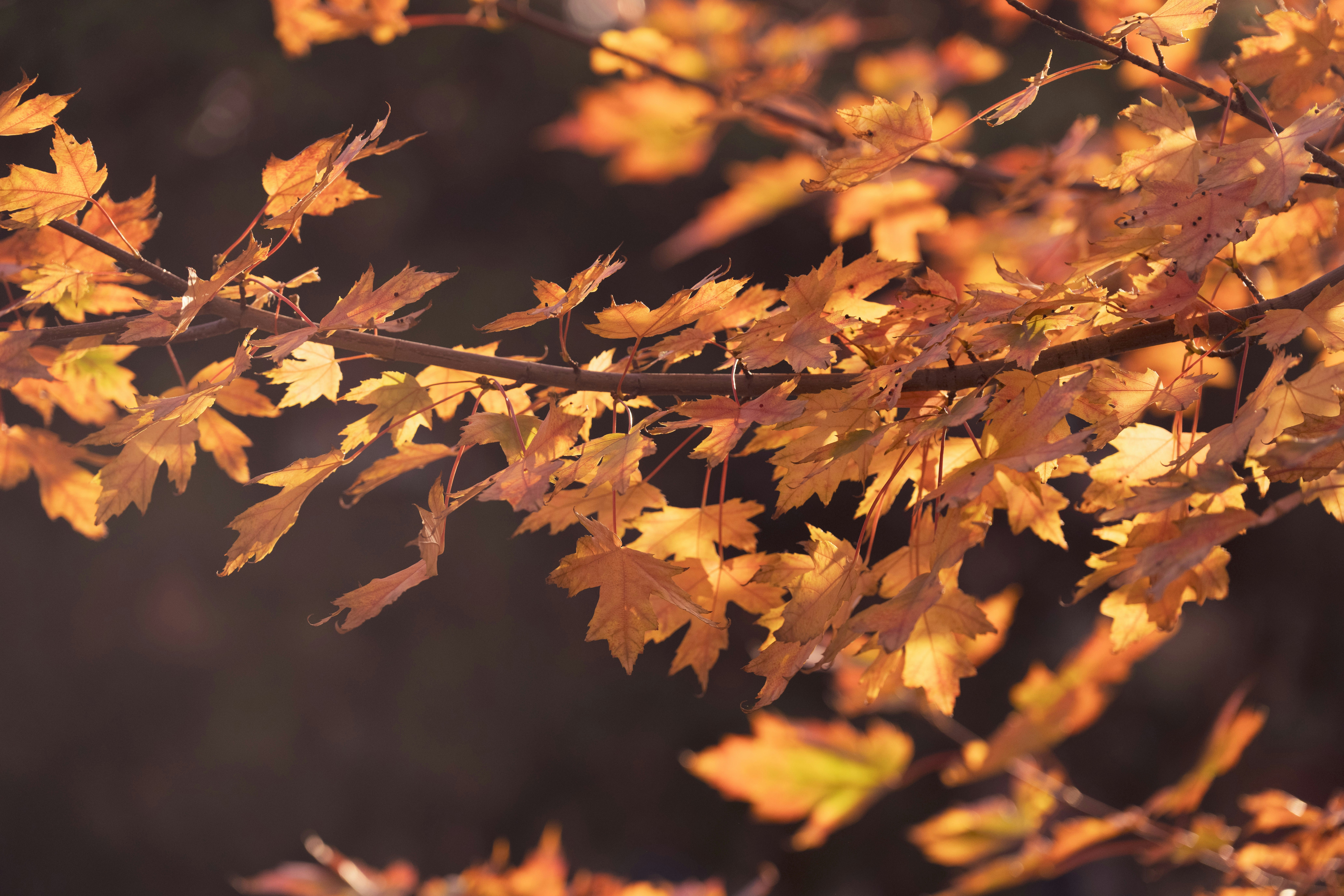 Photo by justynazielinska654