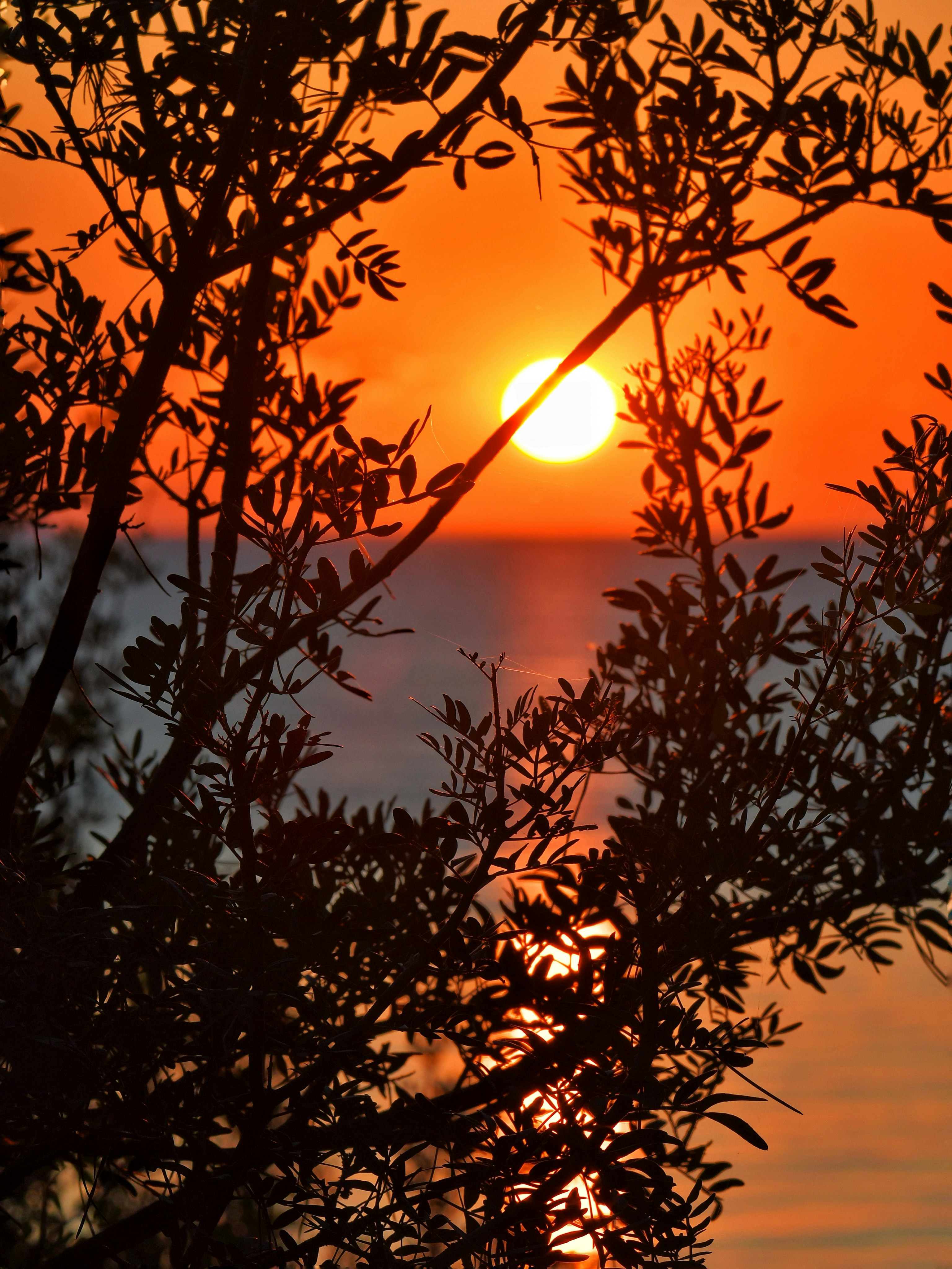 Photo by pedrino5_official