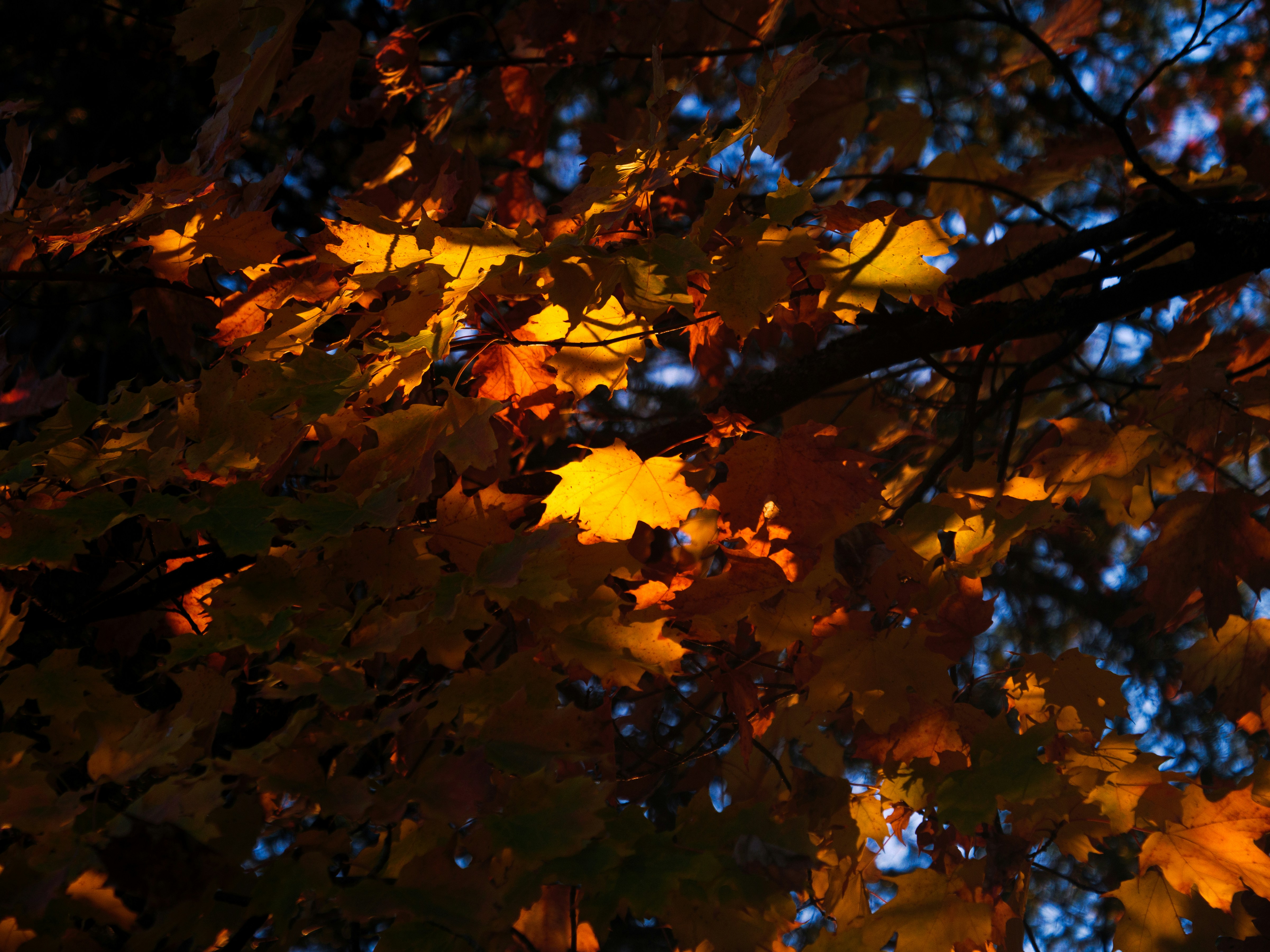 Photo by storybyphil