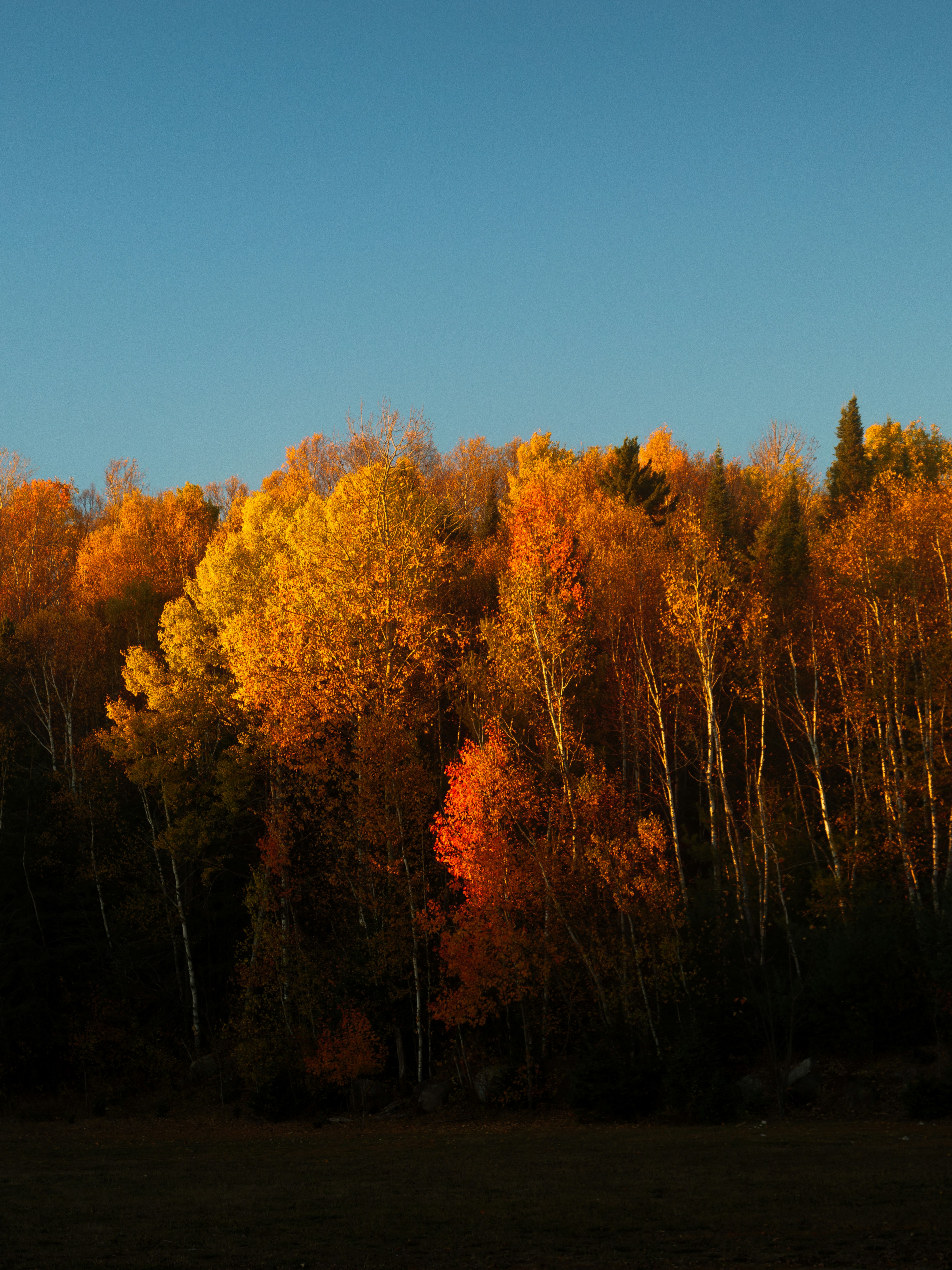 Photo by storybyphil