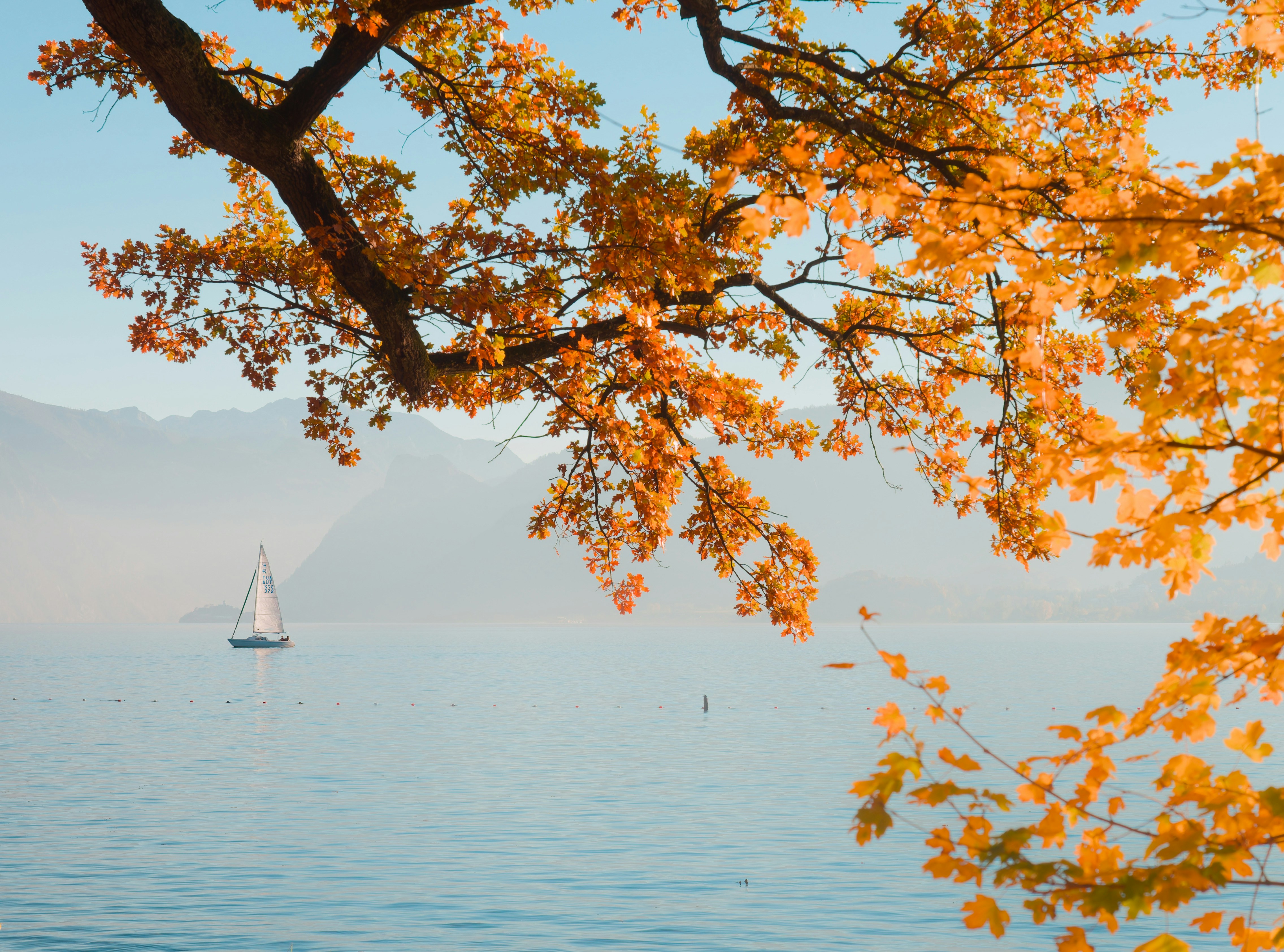 Sailboat on a calm lake with autumn leaves