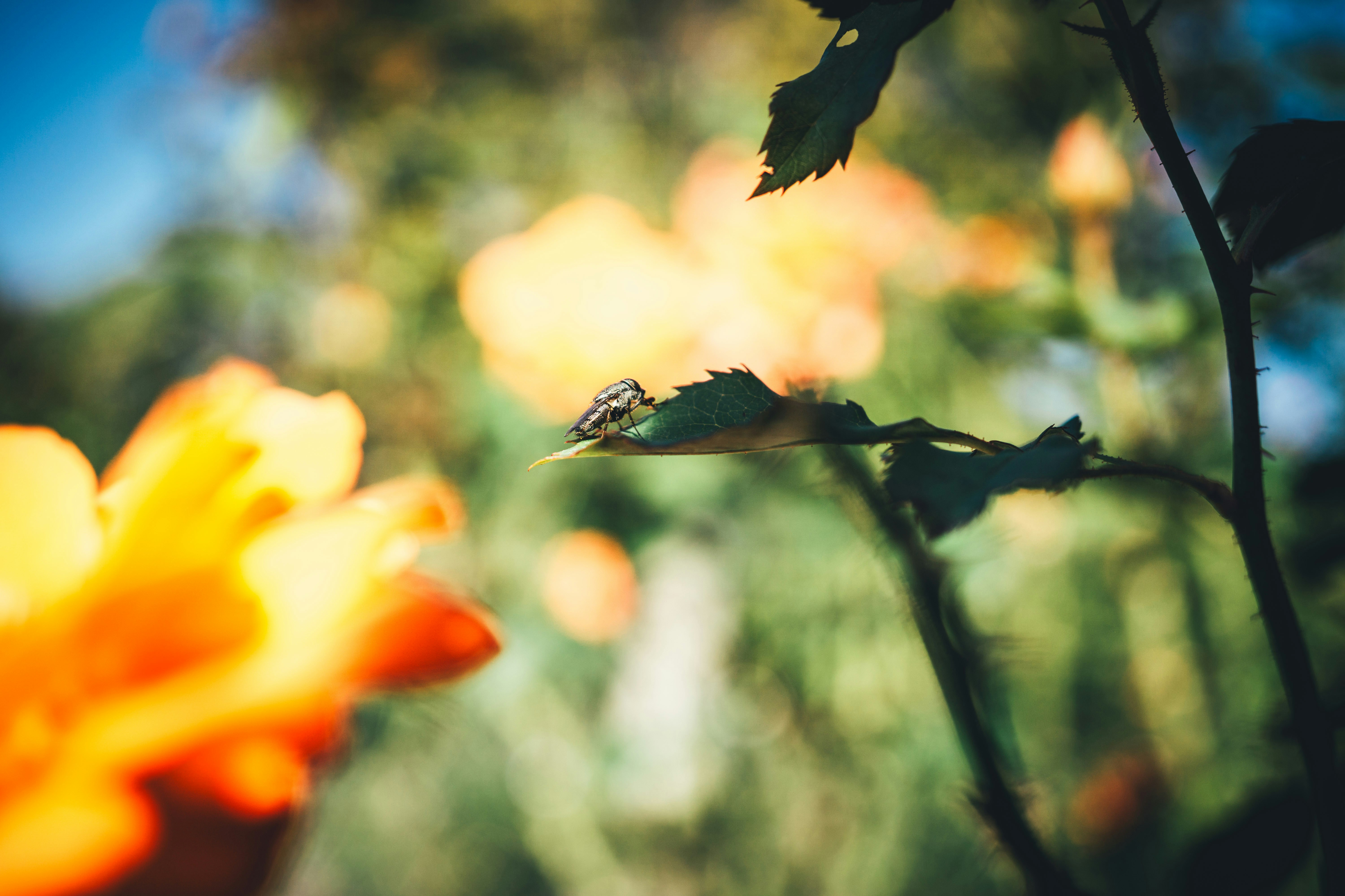 Photo by taiga_miyamoto