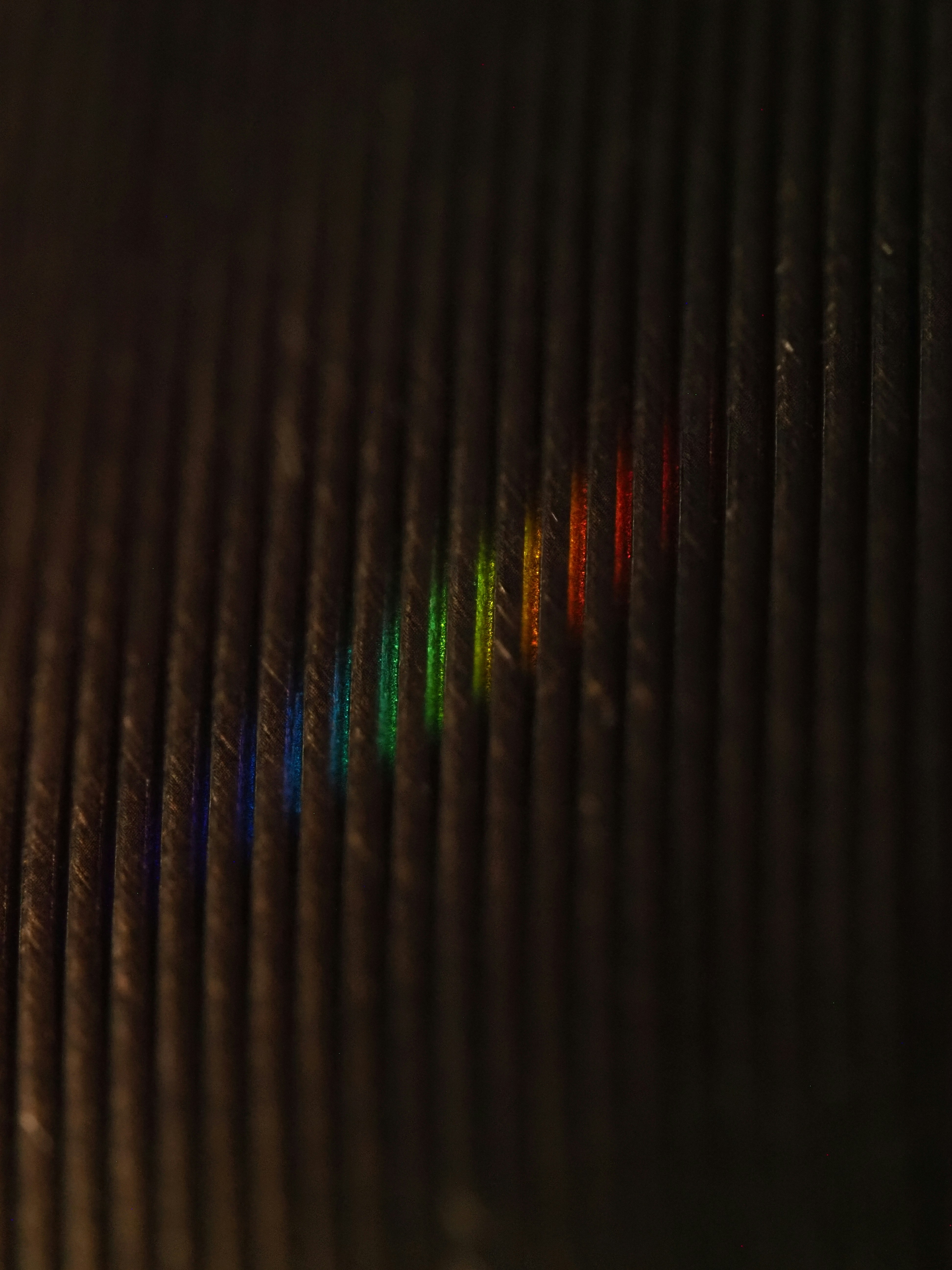 Macro view of a dark feather with rainbow colors.