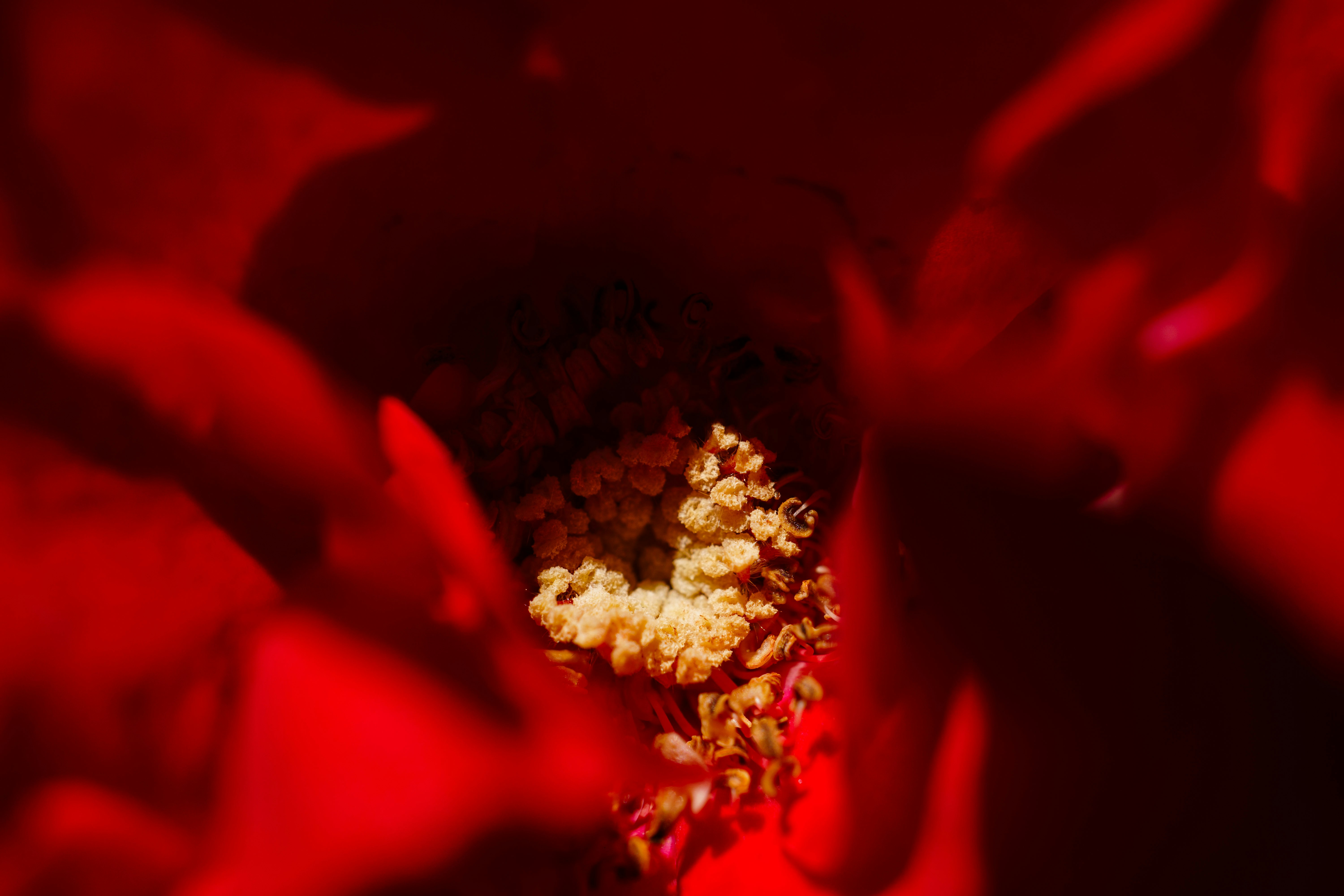 Photo by taiga_miyamoto