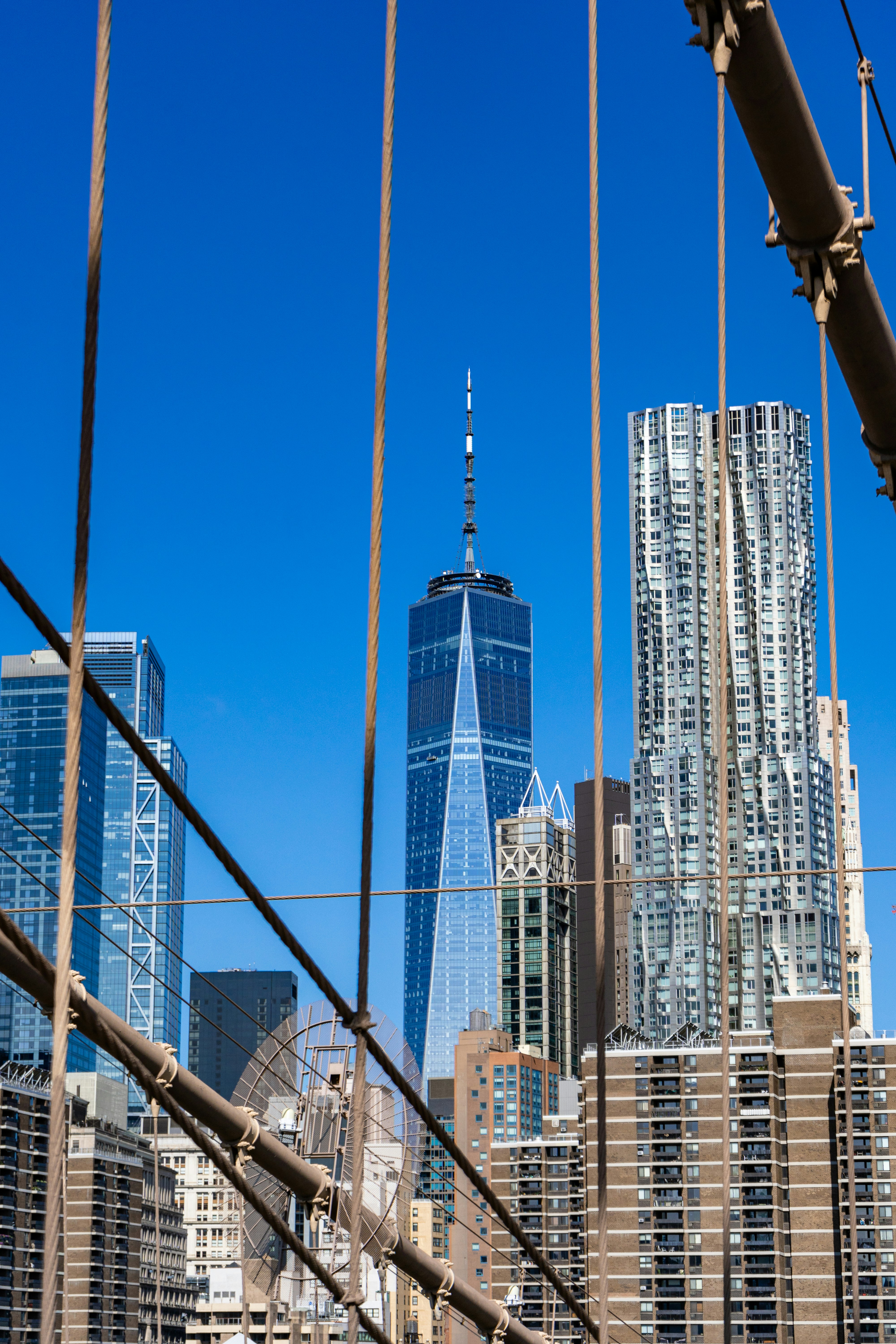 Photo by maxim_klimashin