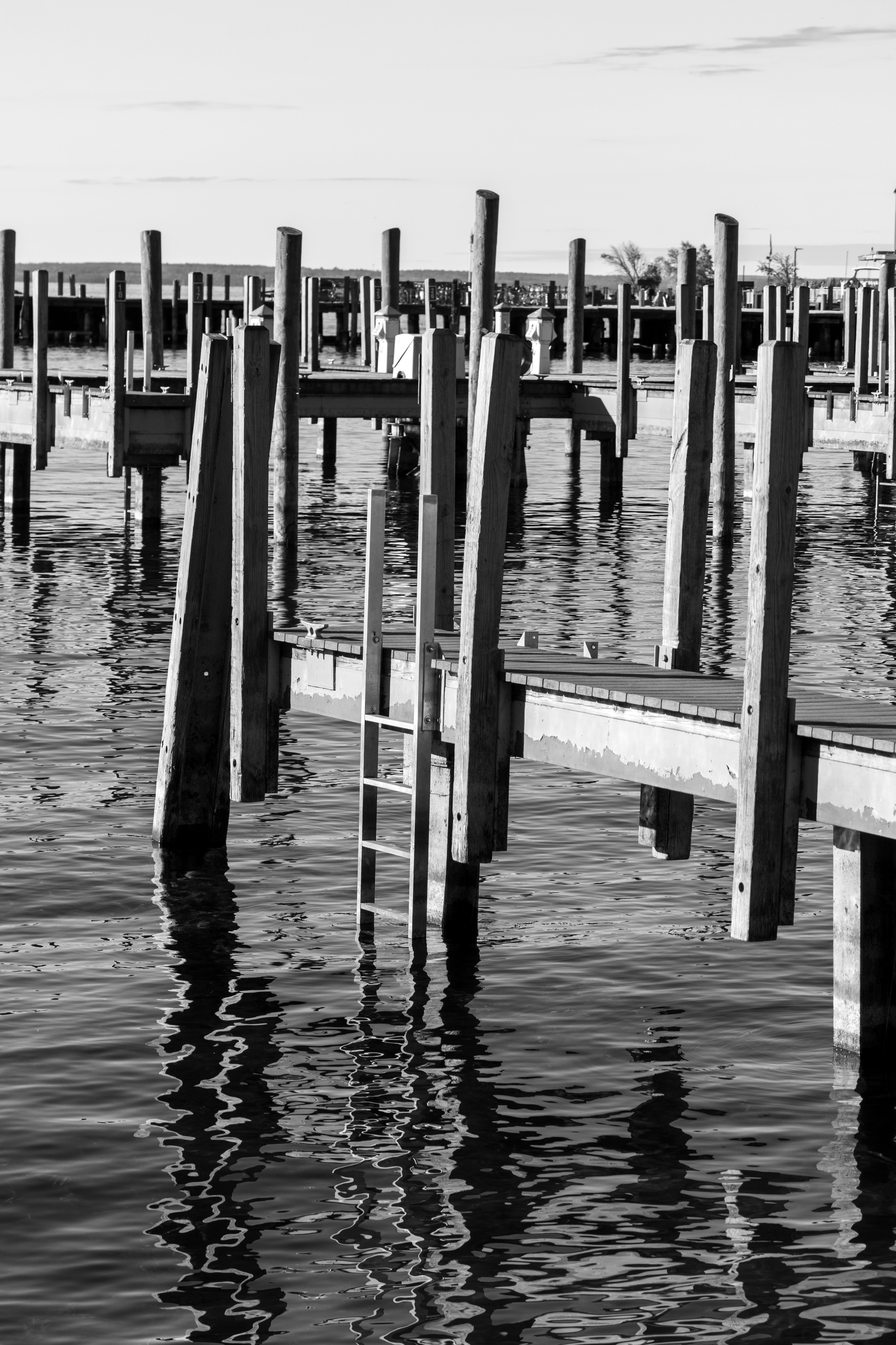 Photo by barnabaspiper