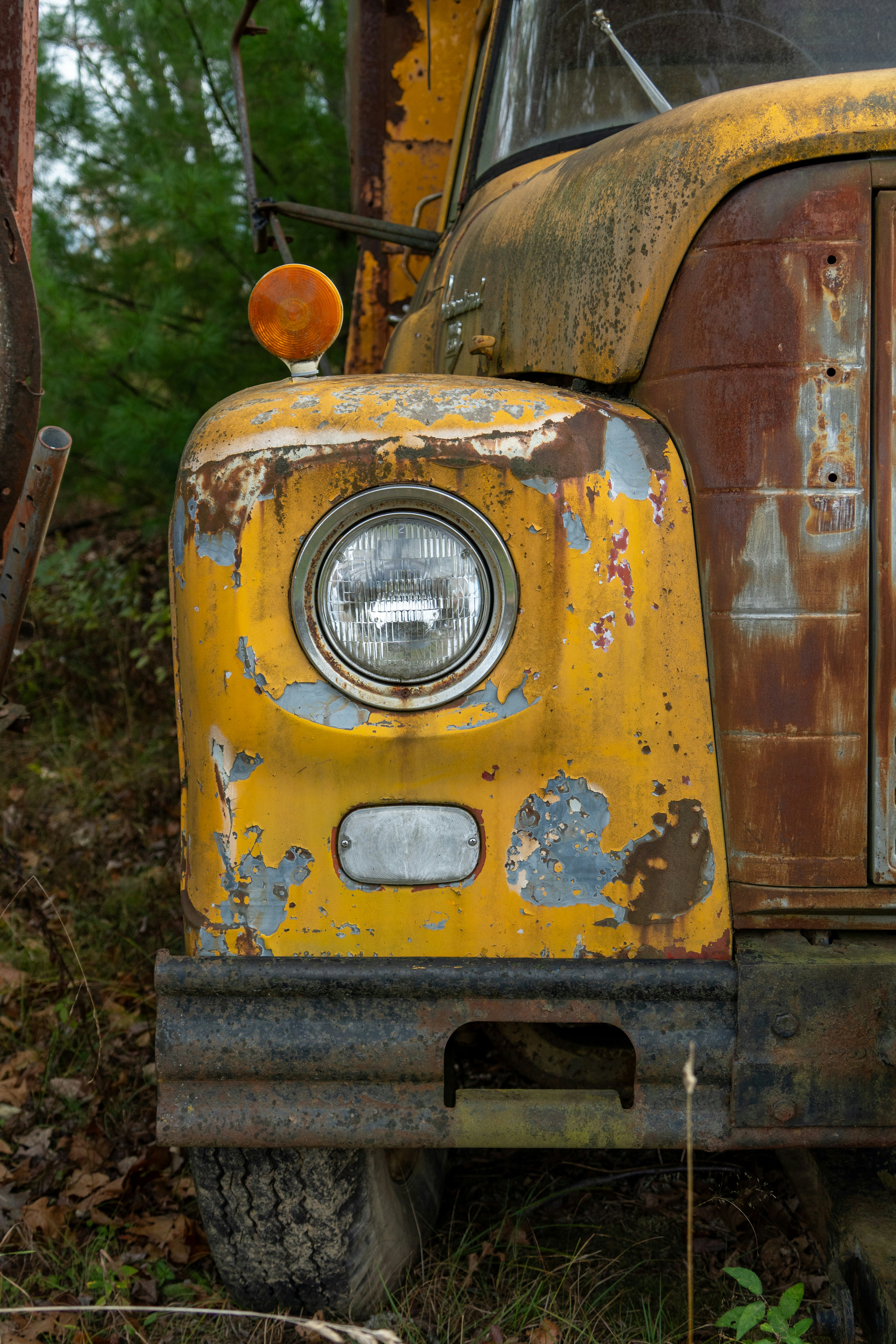 Photo by barnabaspiper