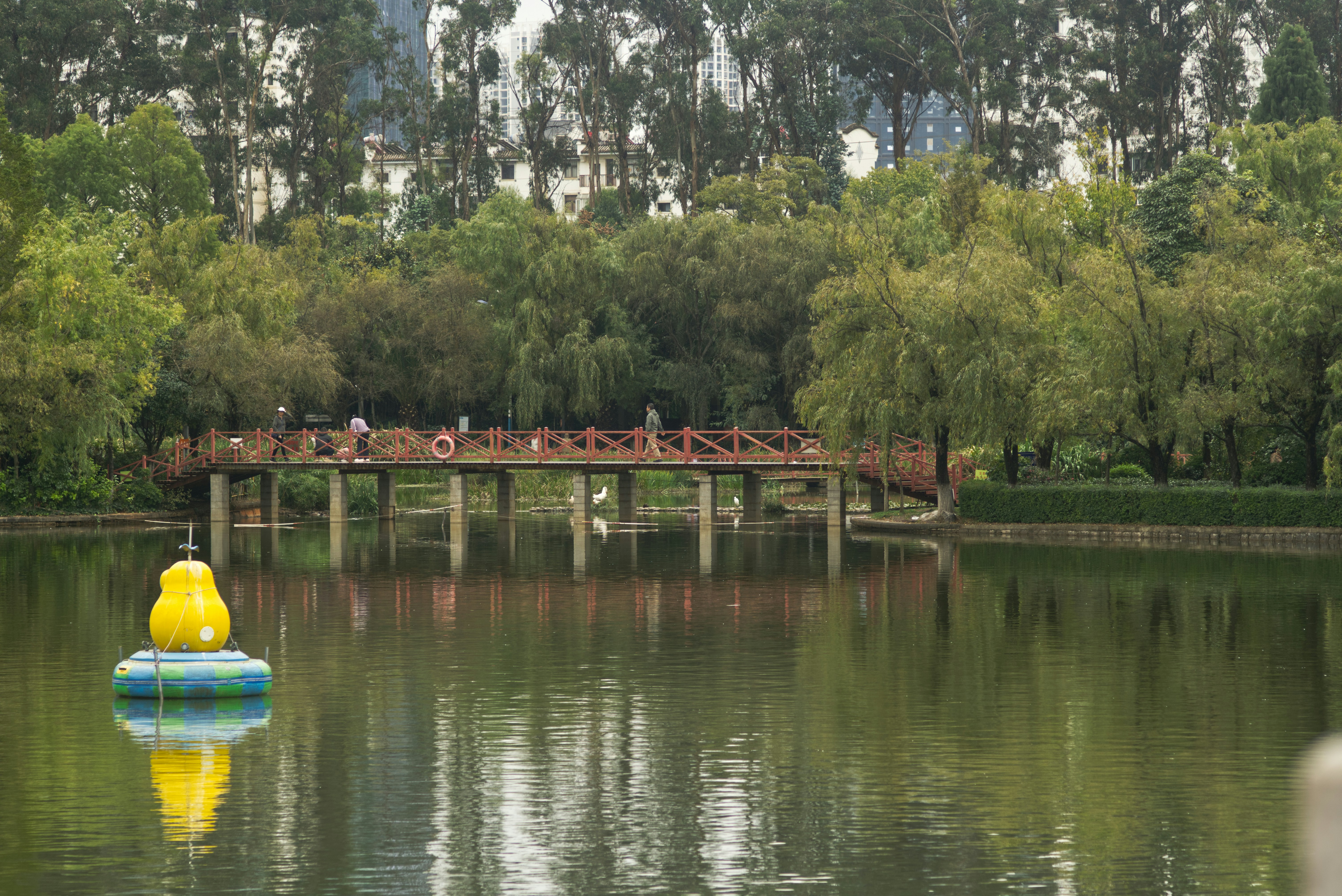 Whipple O. Parrot Park