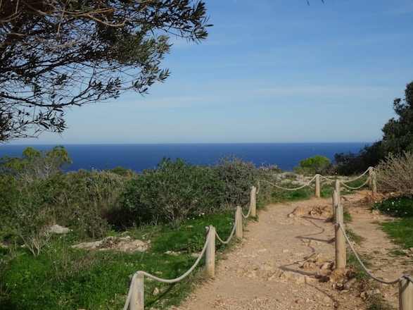 Path leading to the ocean through green foliage