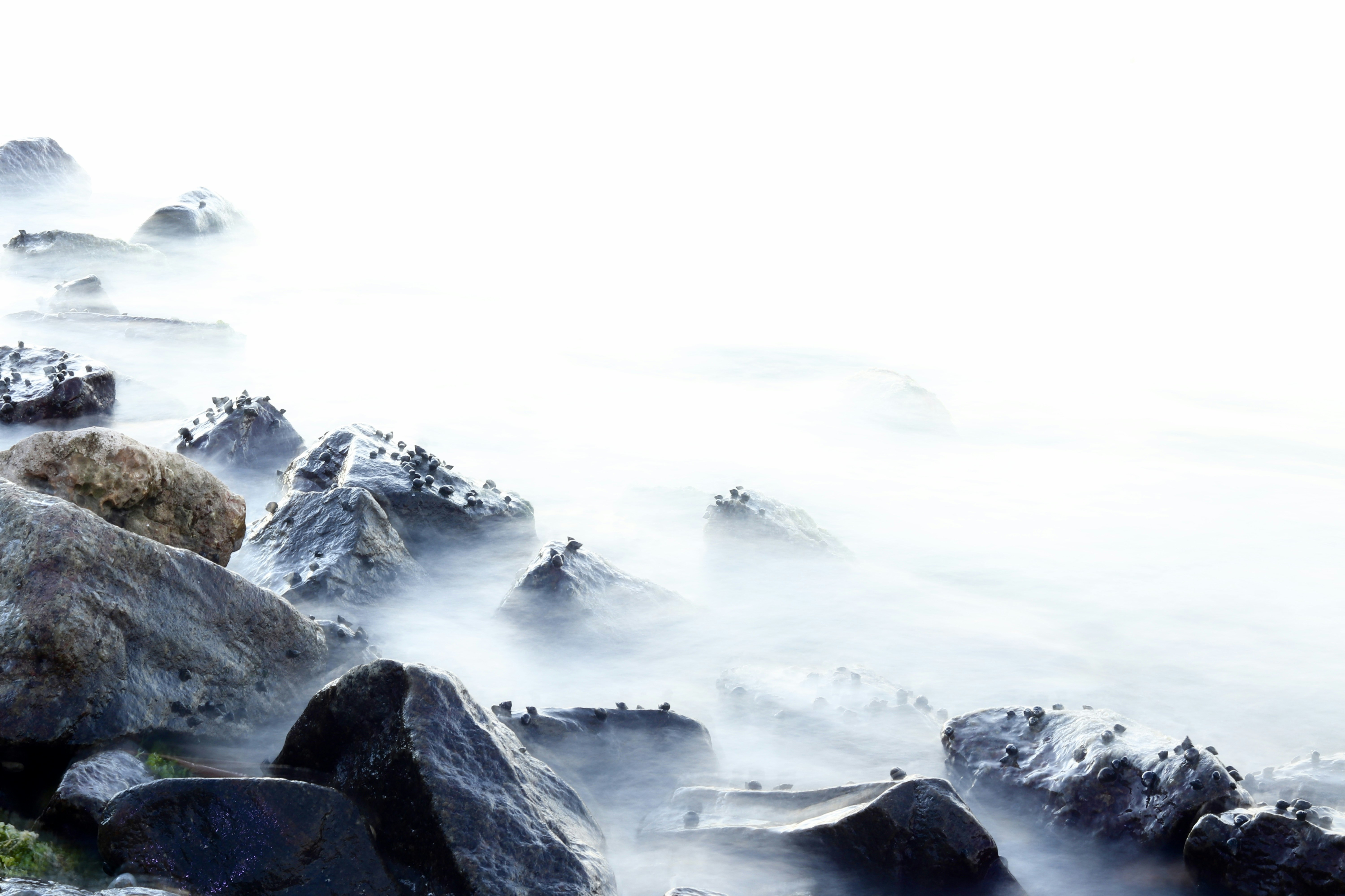 Photo by thineshkumar3