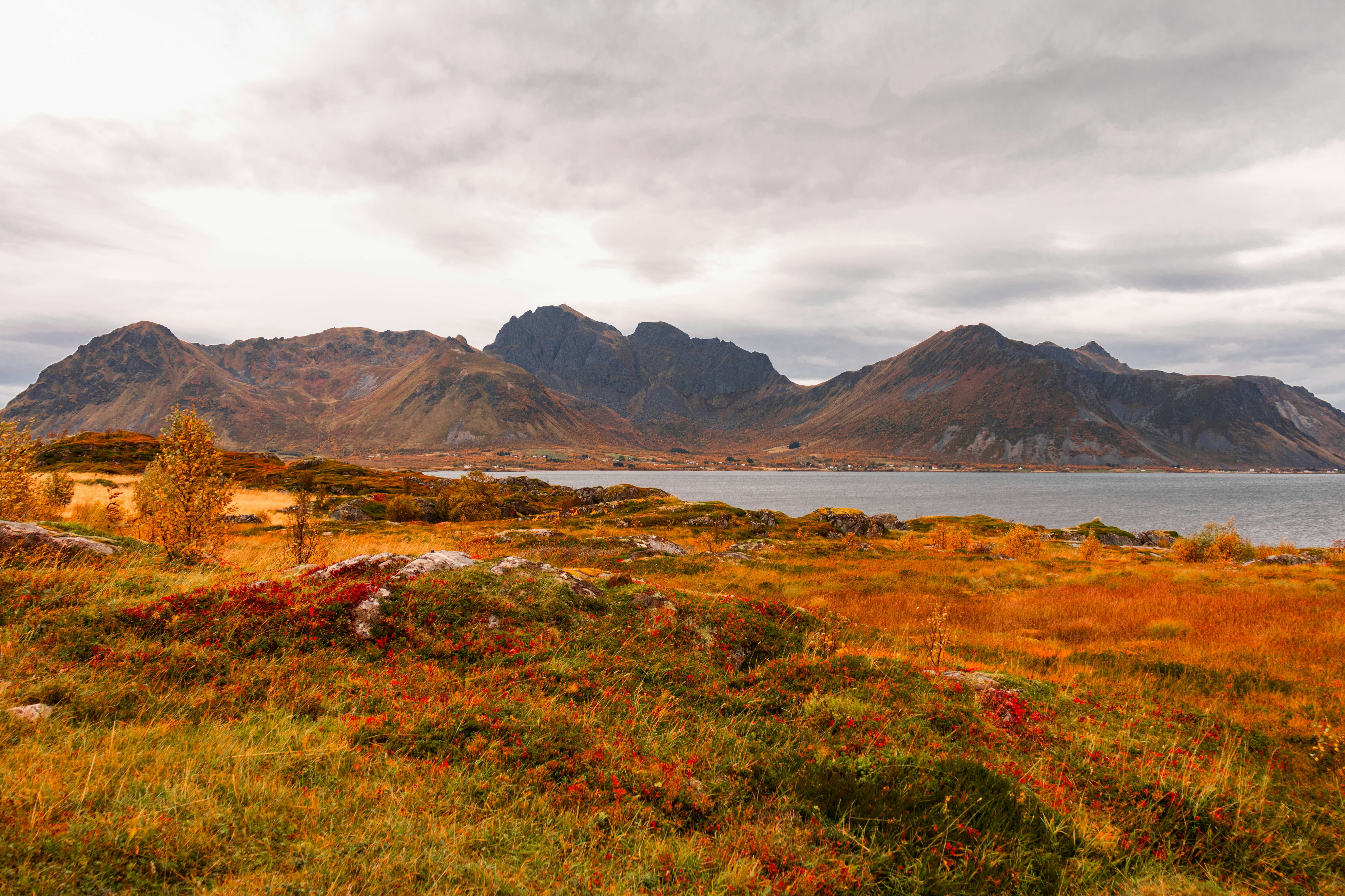 Photo by ingridmartinussen