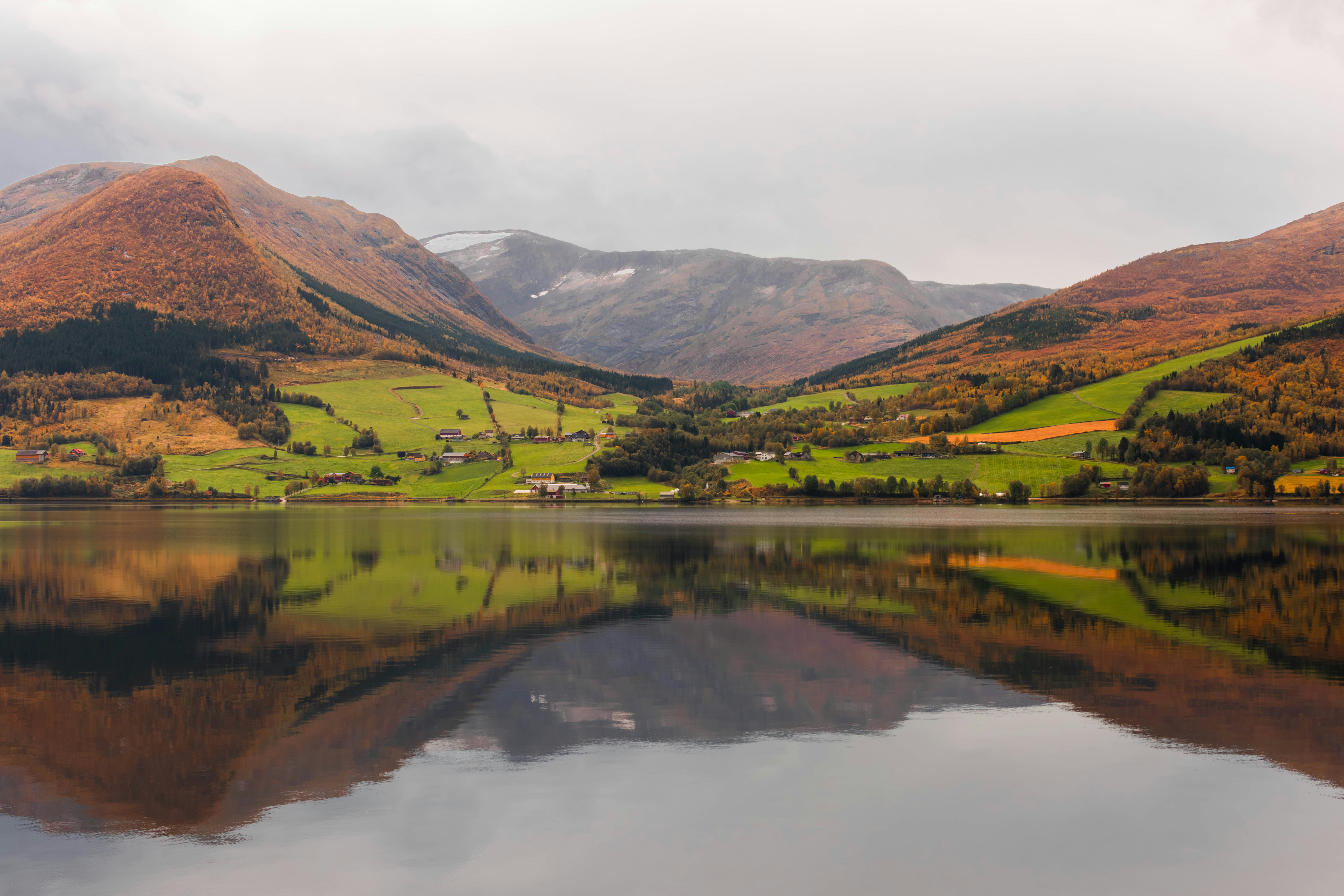 Serene Farmhouse with Mango Grove