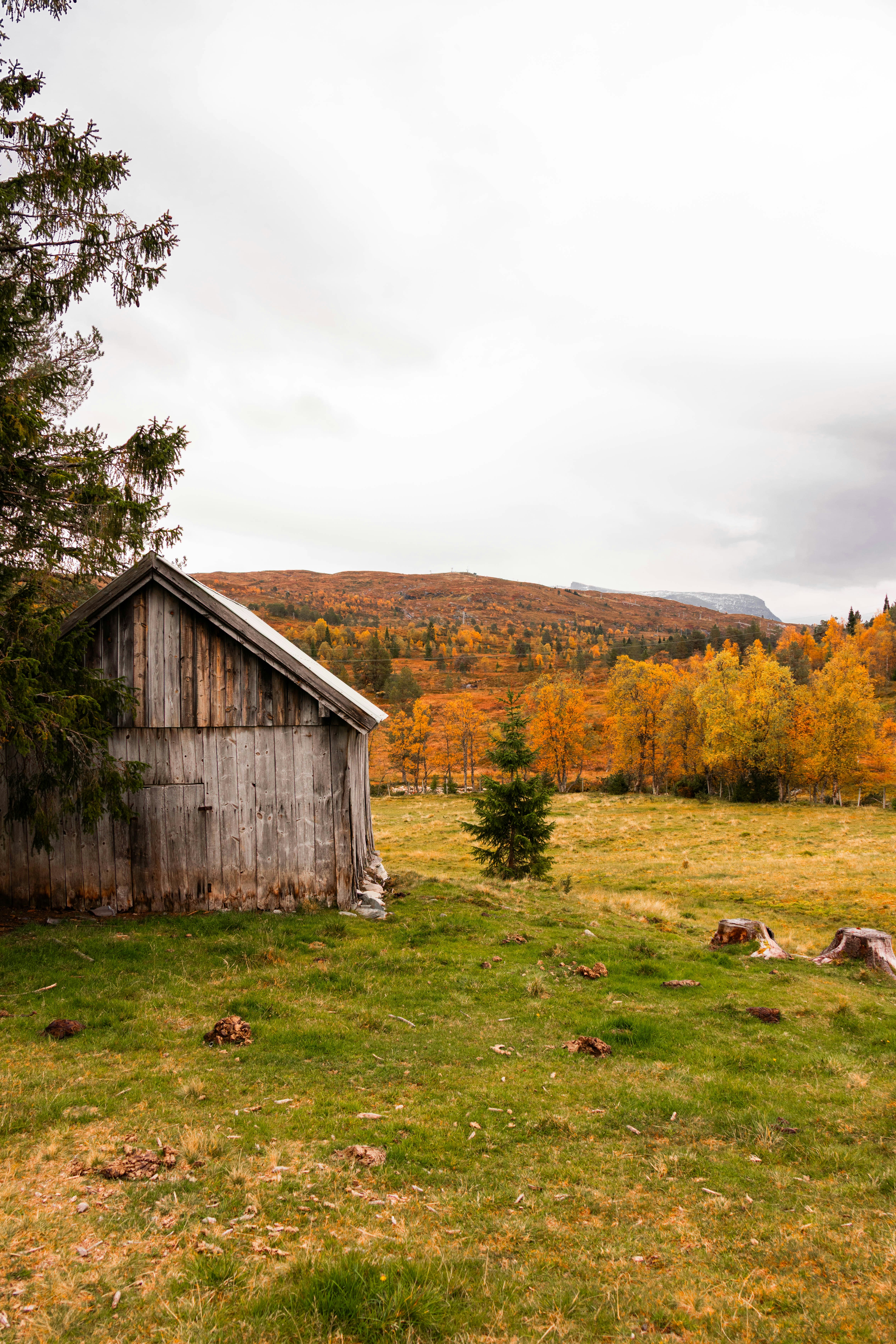 Photo by ingridmartinussen