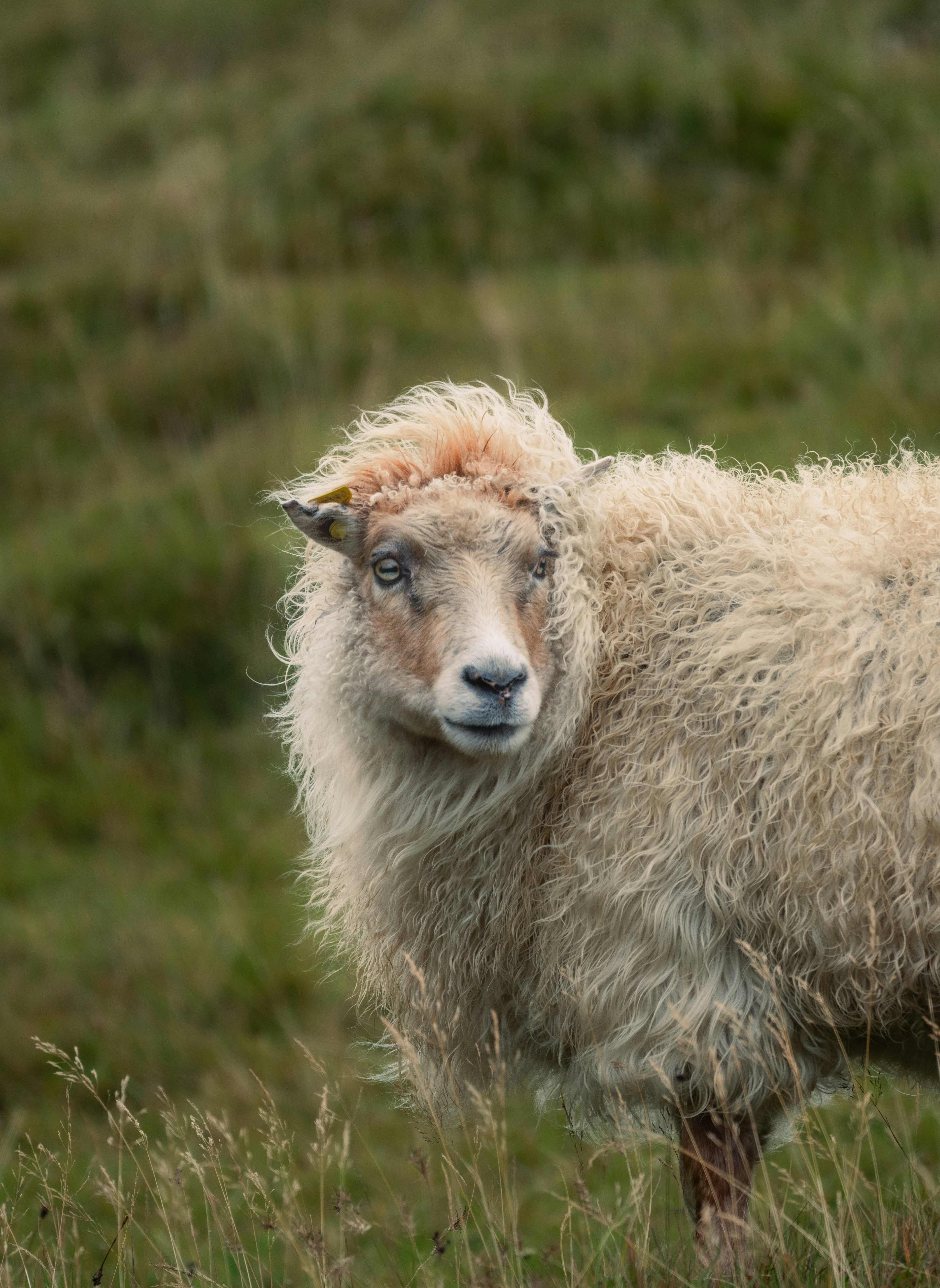 Photo by maartenvnmlct