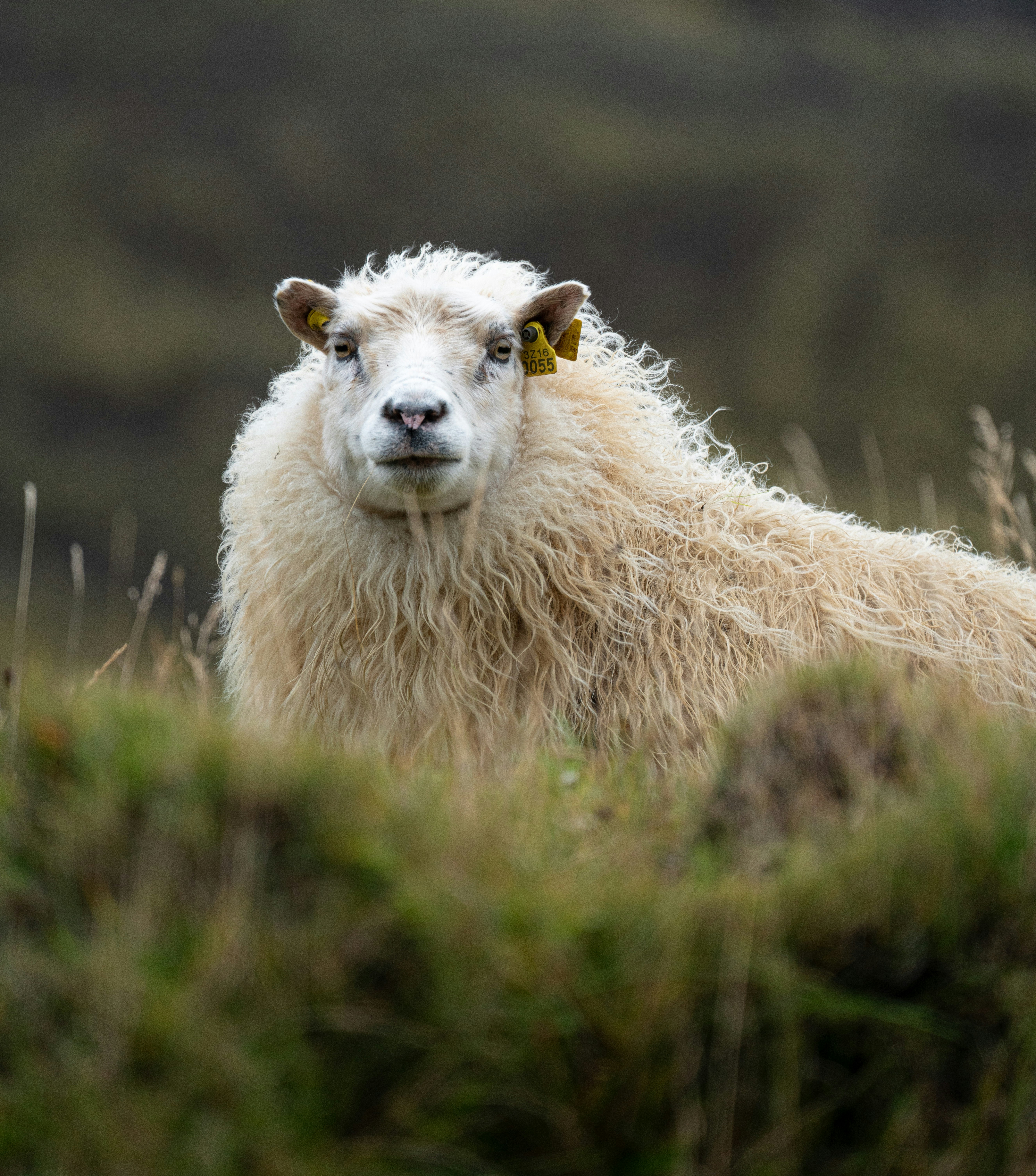 Photo by maartenvnmlct