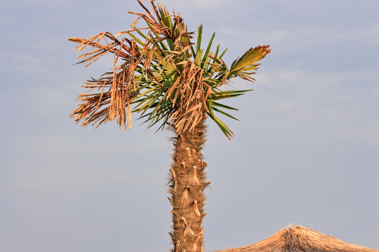 Hotel Nacional de Cuba resort