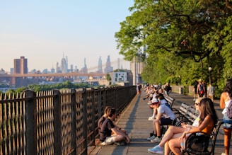 dogAdvisor | dog Advisor | dogadvisor.dog | dog Advisor