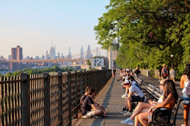 dogAdvisor | dog Advisor | dogadvisor.dog | dog Advisor