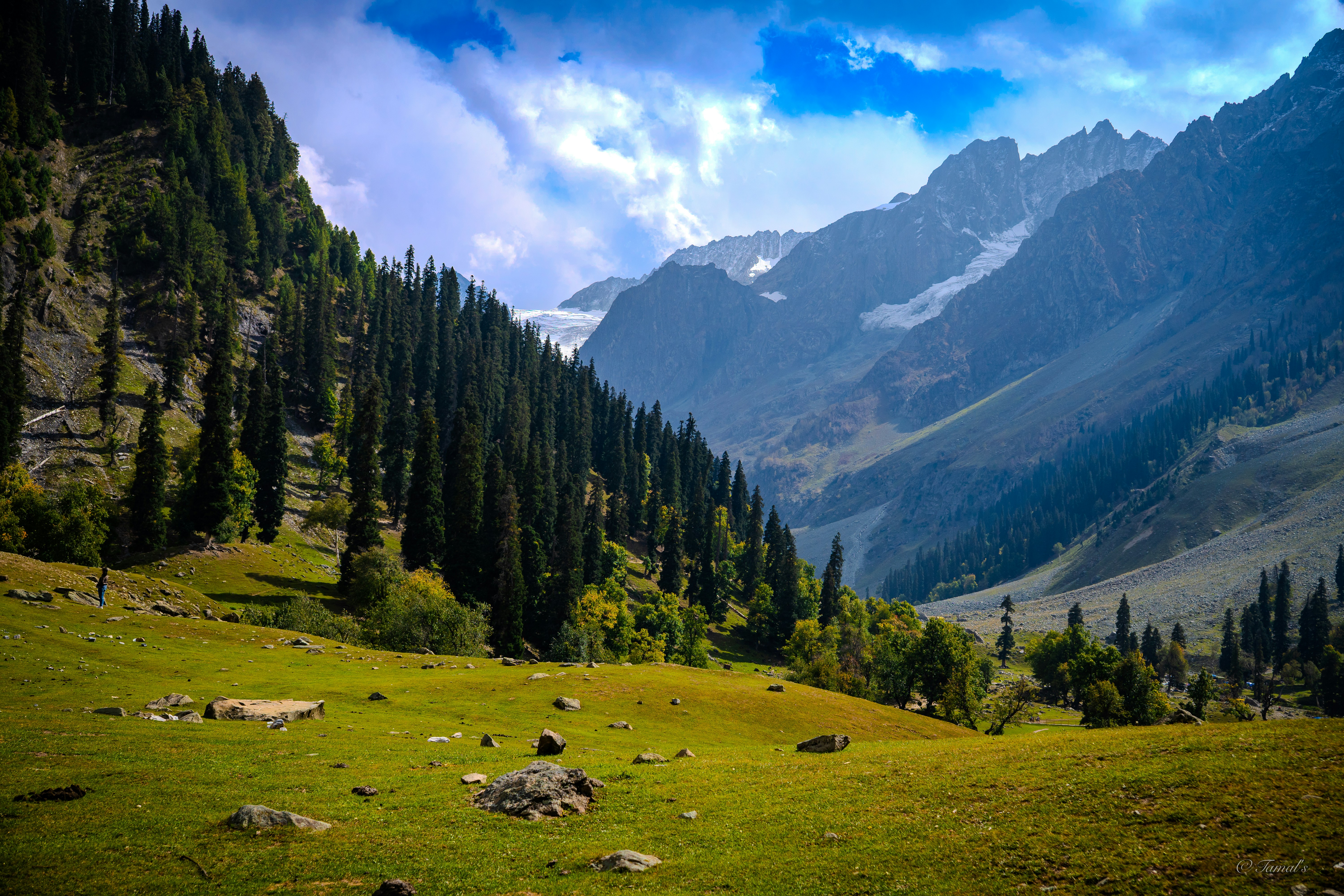 Photo by tamalunplash100