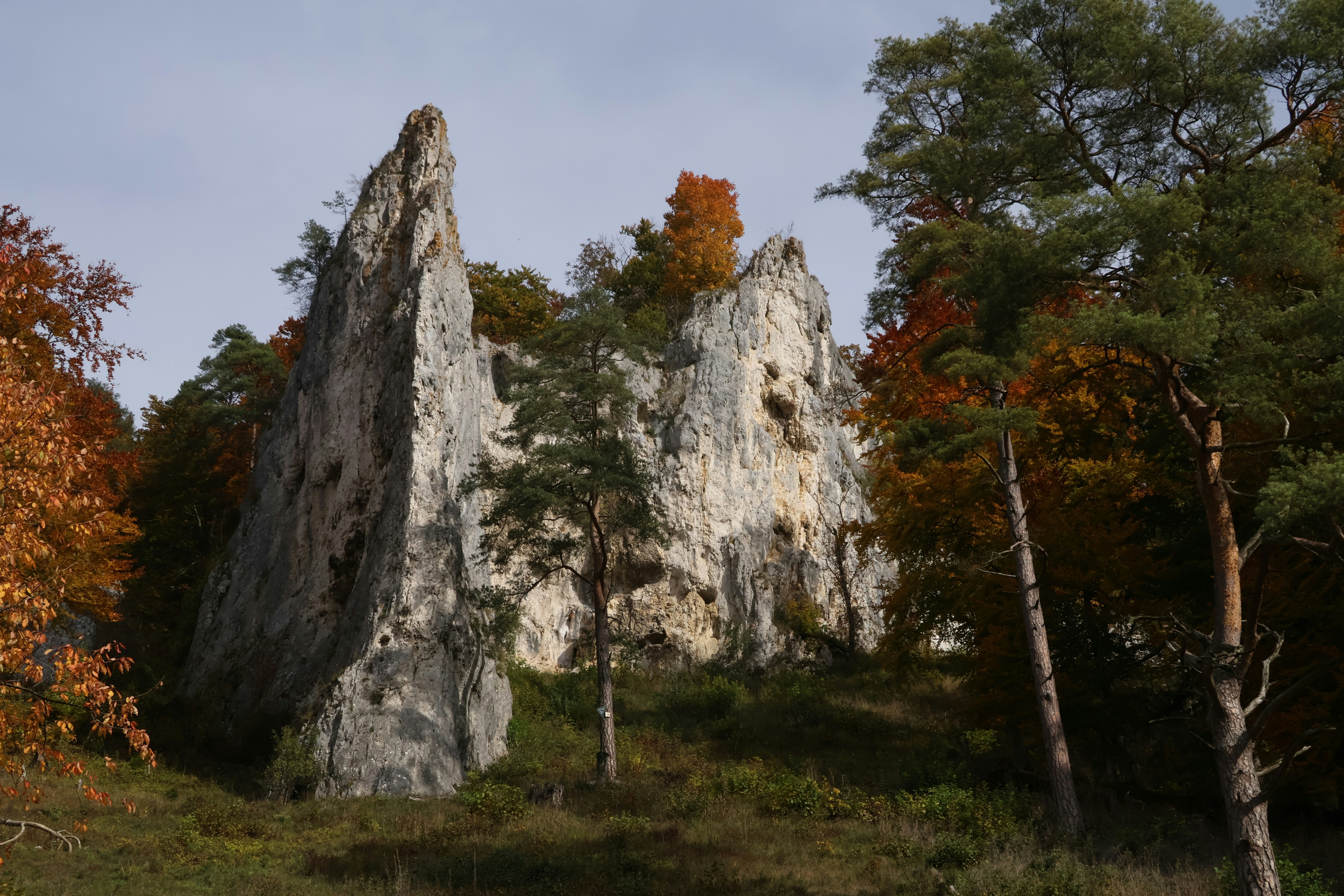 Jagged limestone rocks surrounded by autumn trees