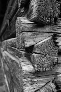 Findrewno Sp. z o.o.   