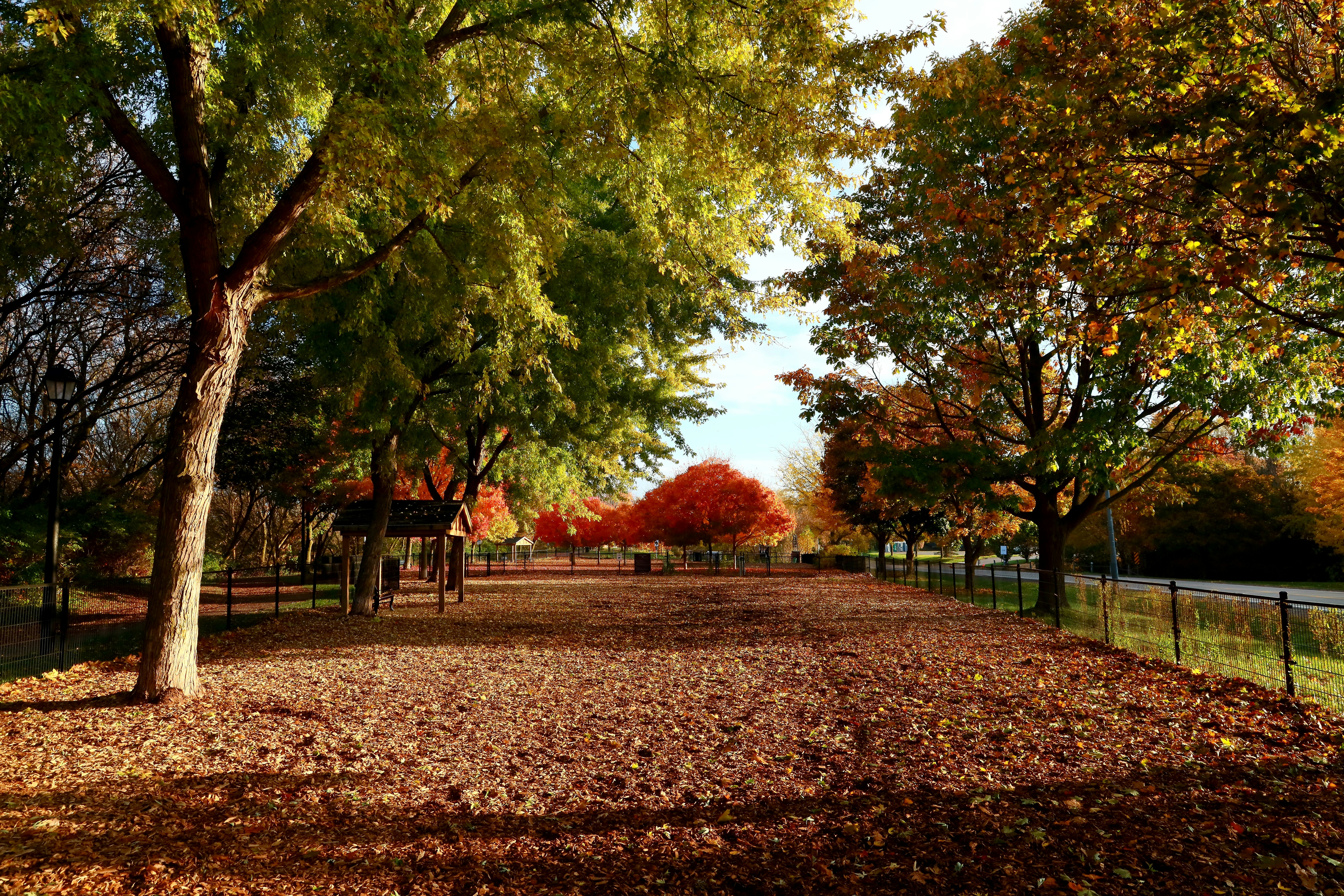 Photo by richardworks