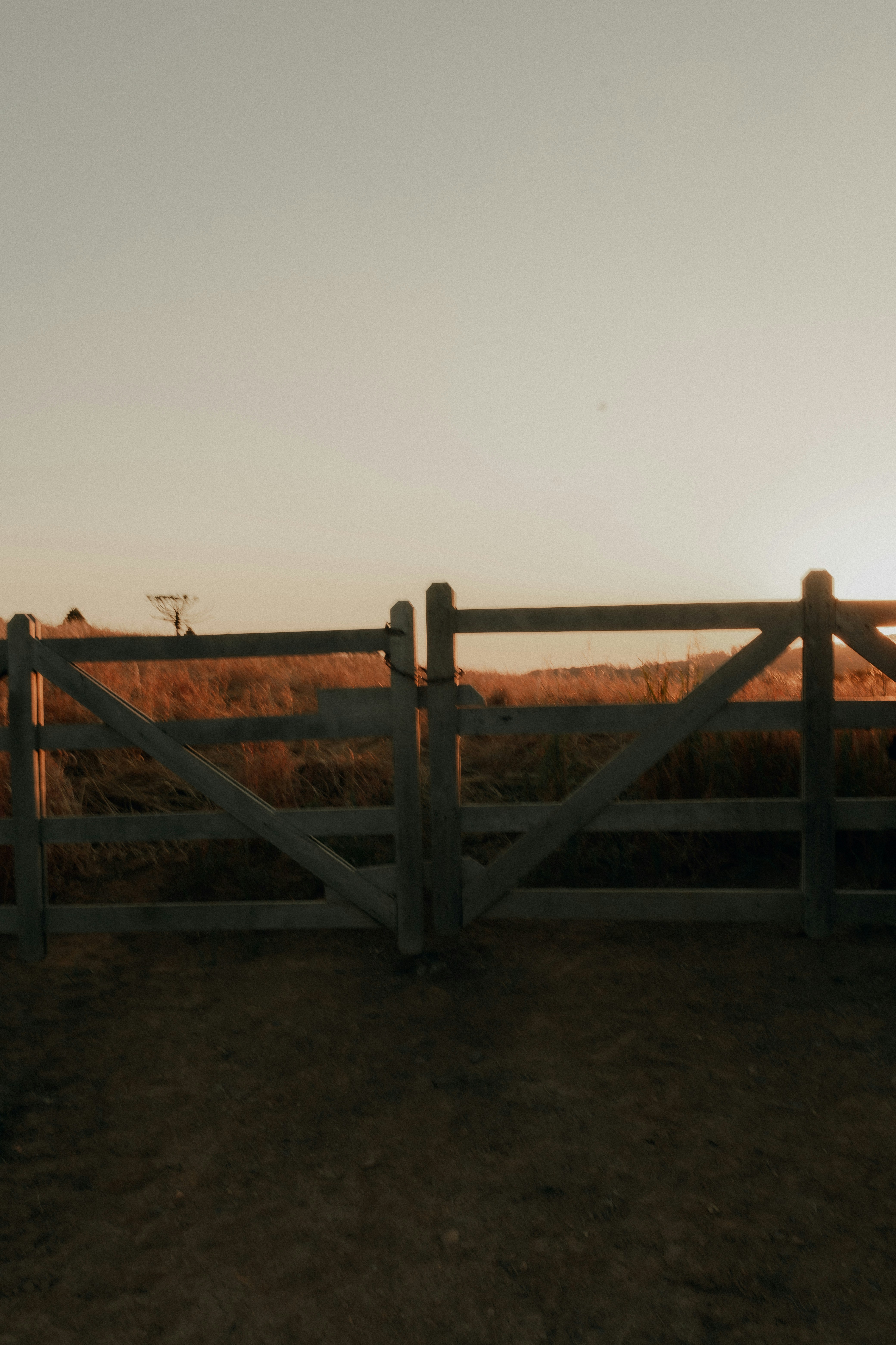 Photo by alexandermassph