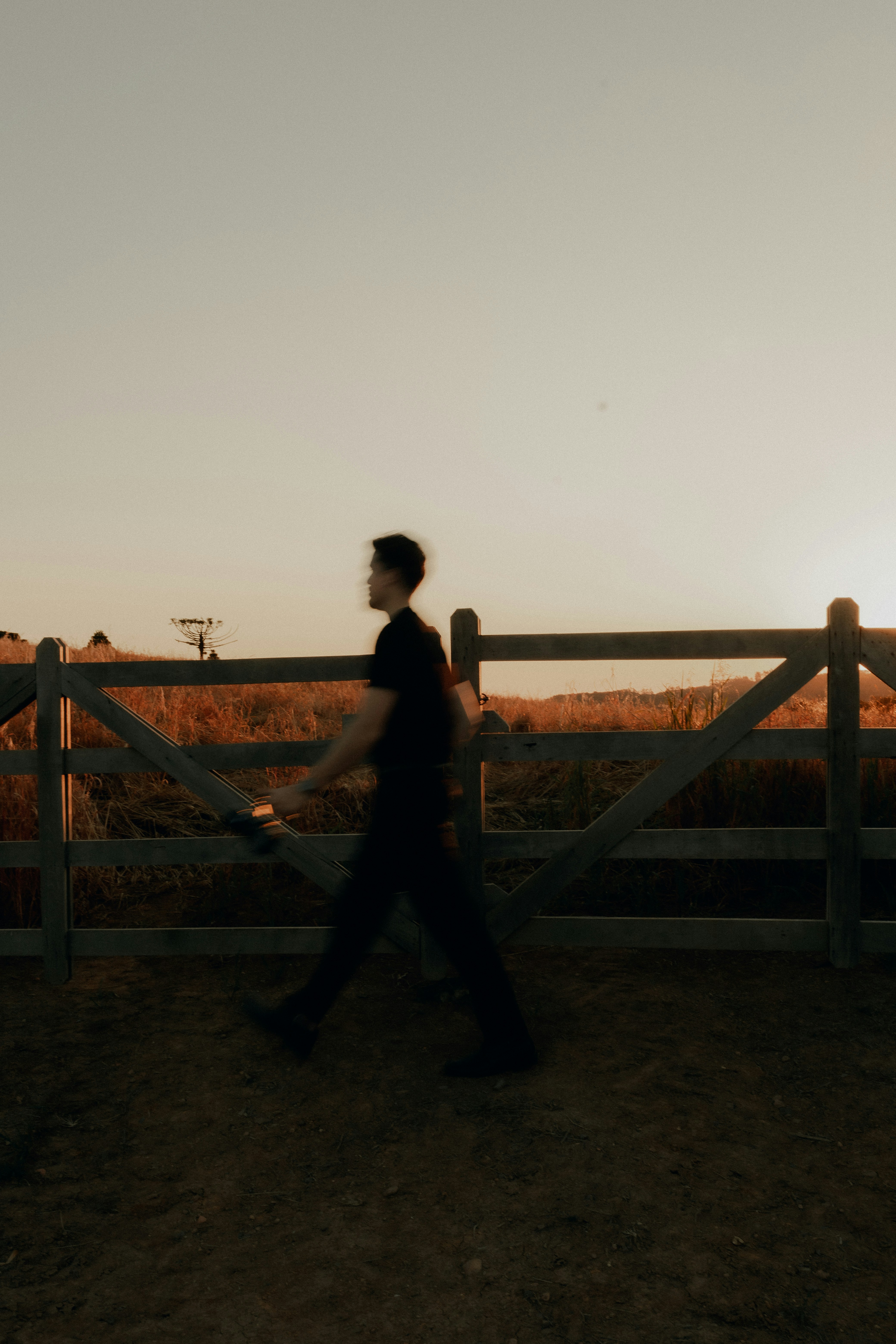 Photo by alexandermassph