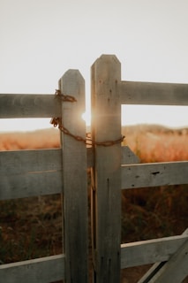 Wooden gate with chain at sunset
