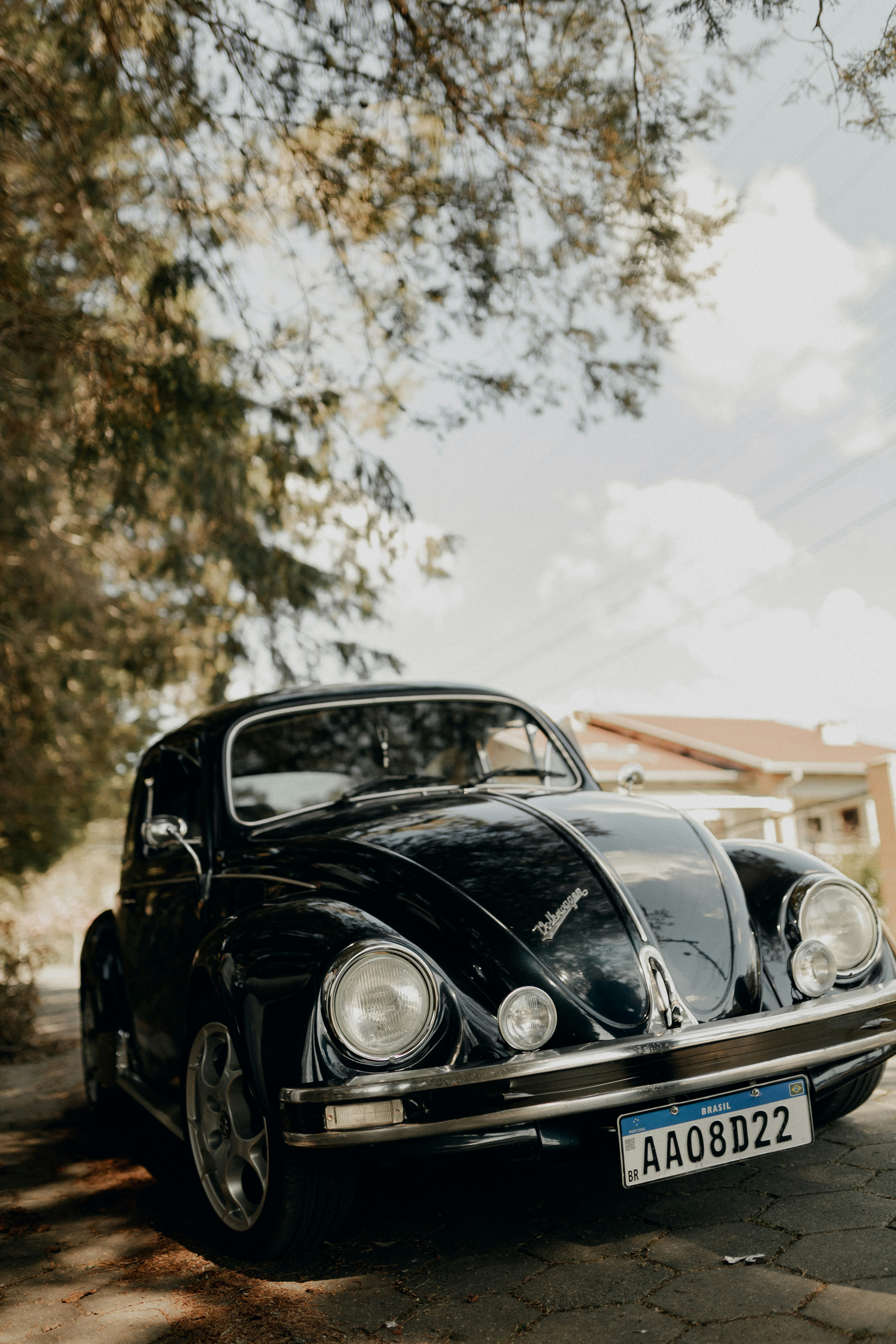 Photo by alexandermassph