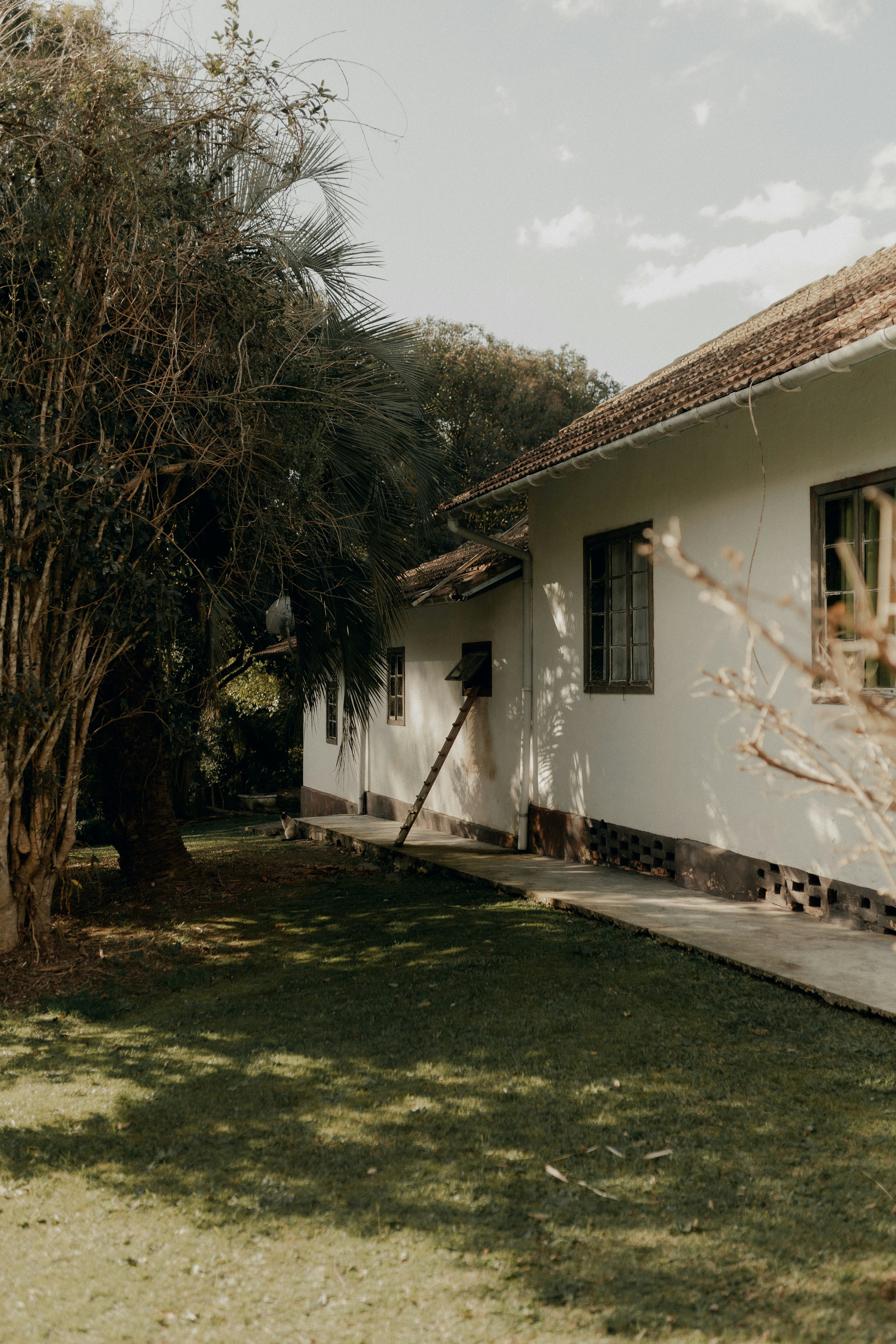 Photo by alexandermassph